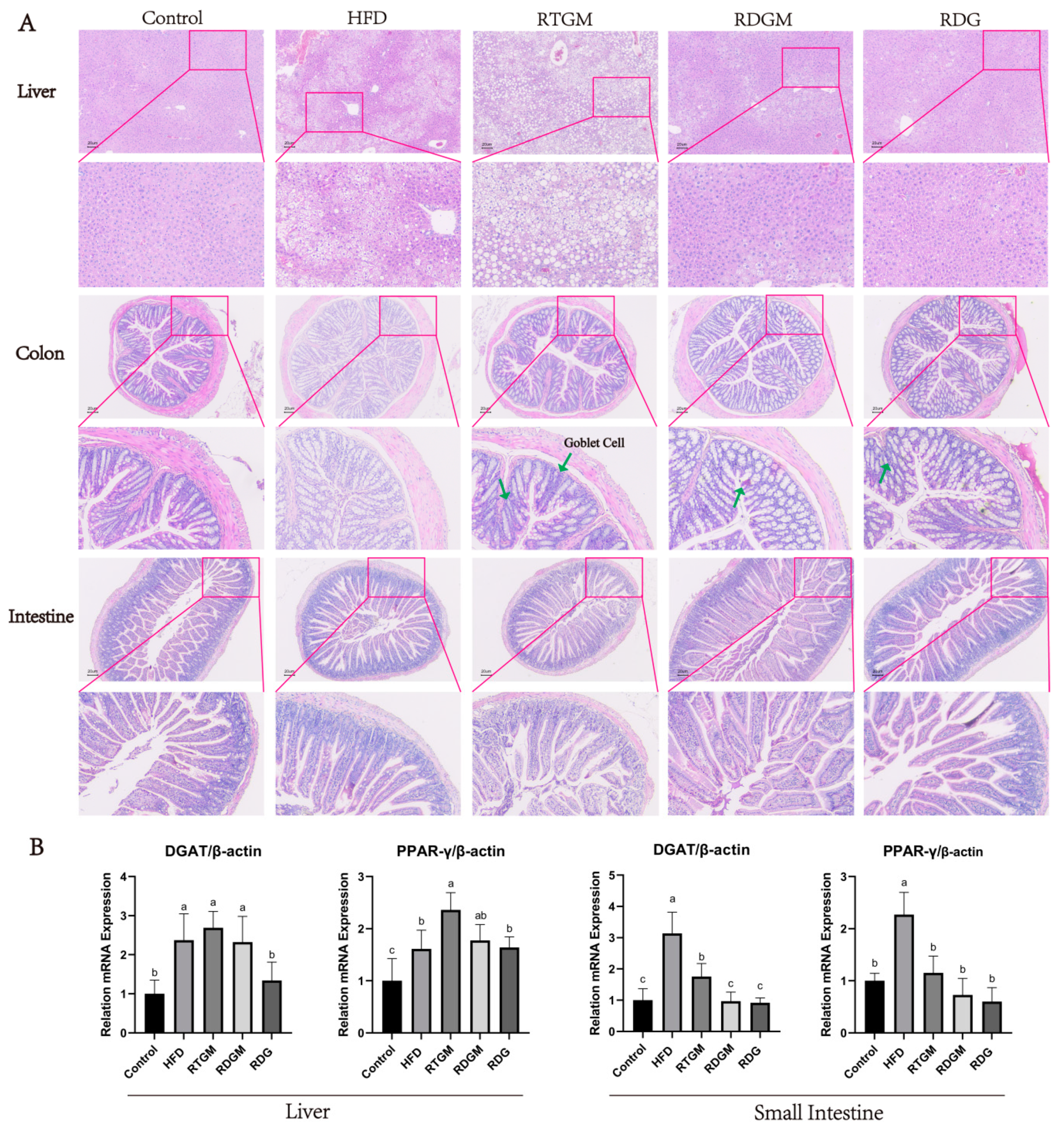 Nutrients 16 02003 g004 Nutrients 16 02003 g004