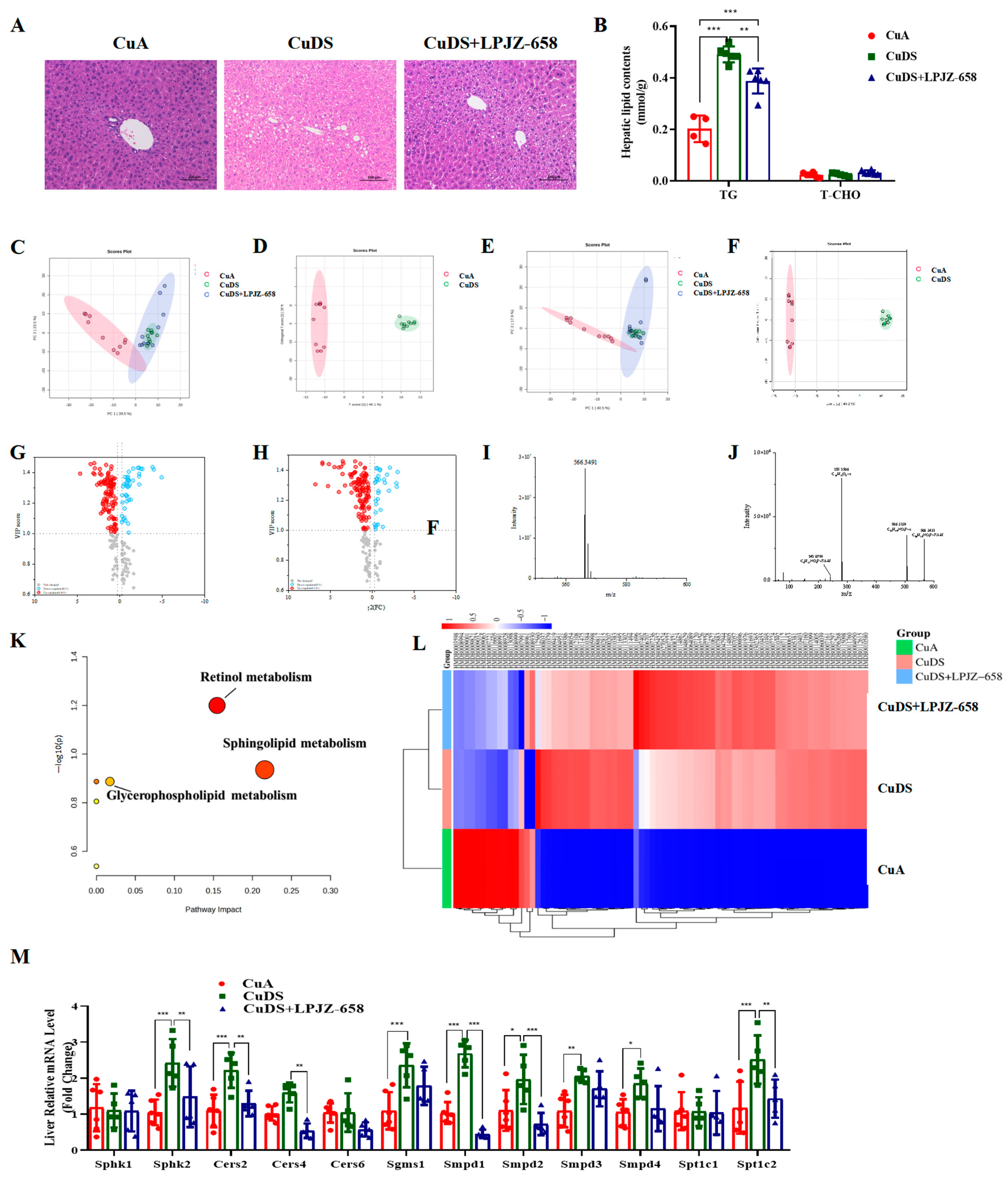 Nutrients 16 02010 g002
