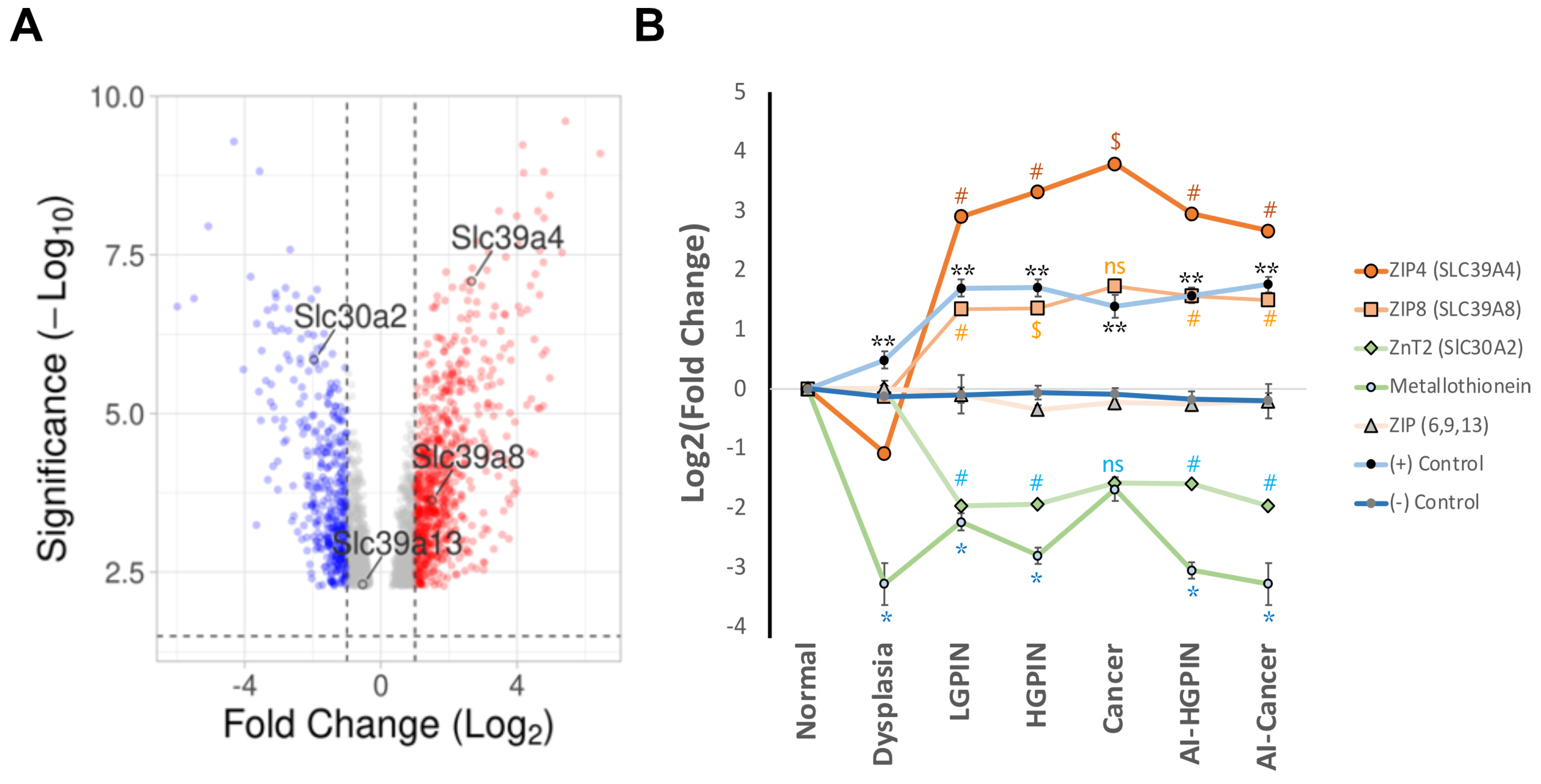 Nutrients 16 02026 g003