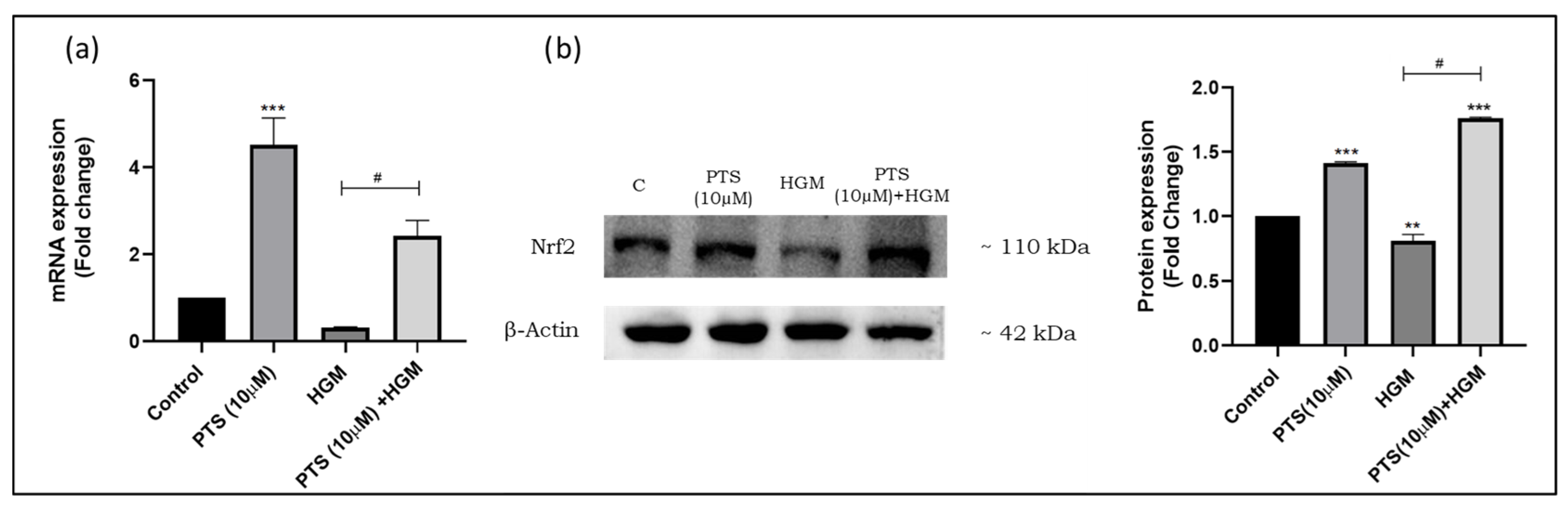 Nutrients 16 02045 g004