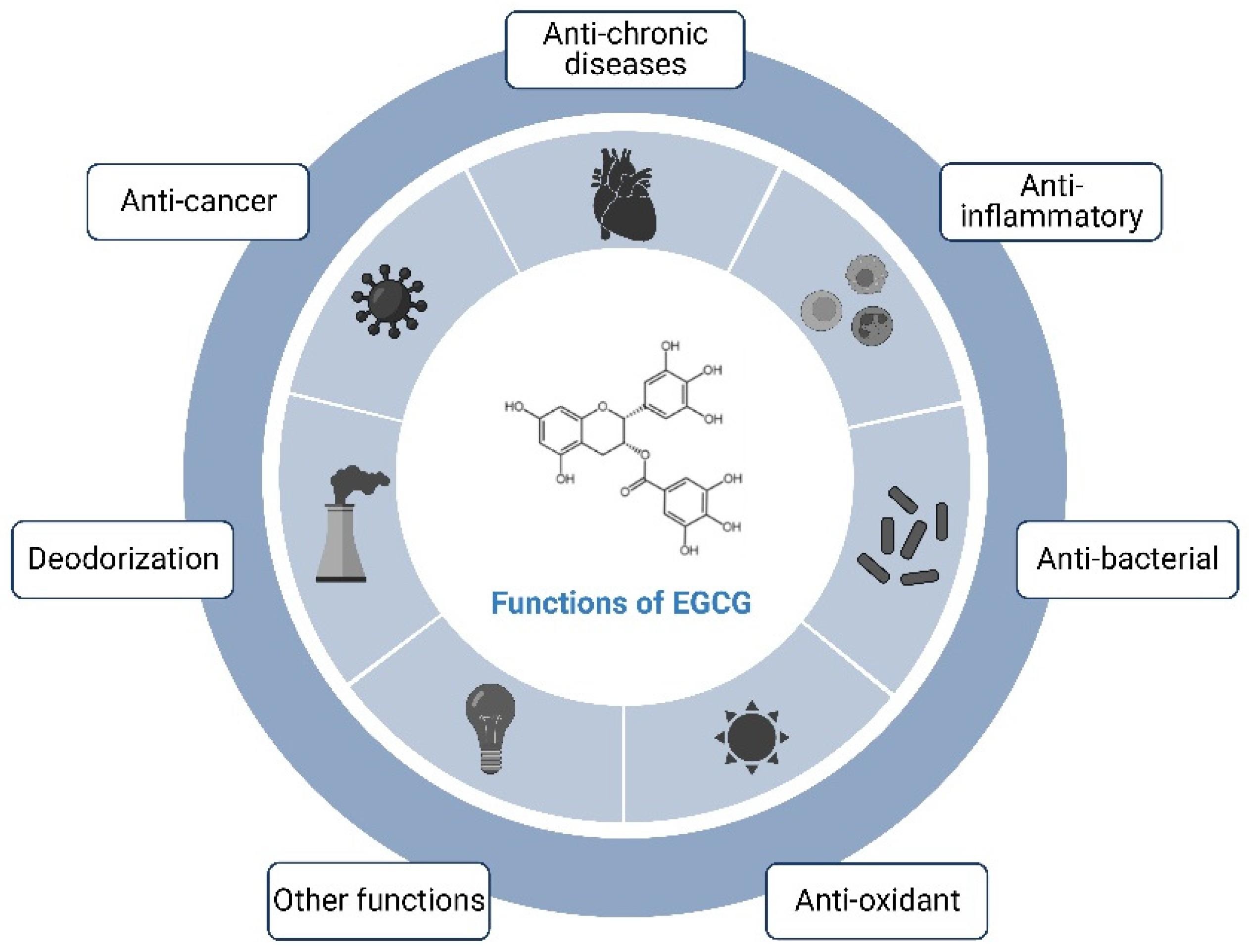 Nutrients 16 02074 g002