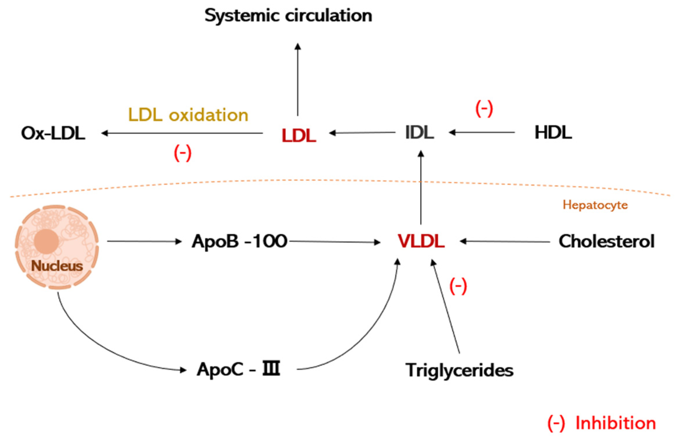 Nutrients 16 02074 g003