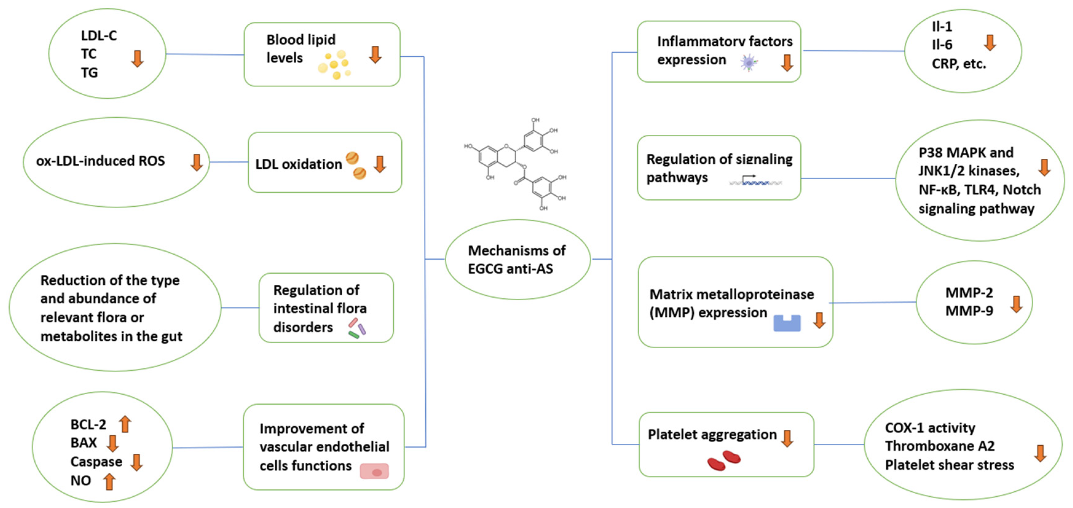 Nutrients 16 02074 g005