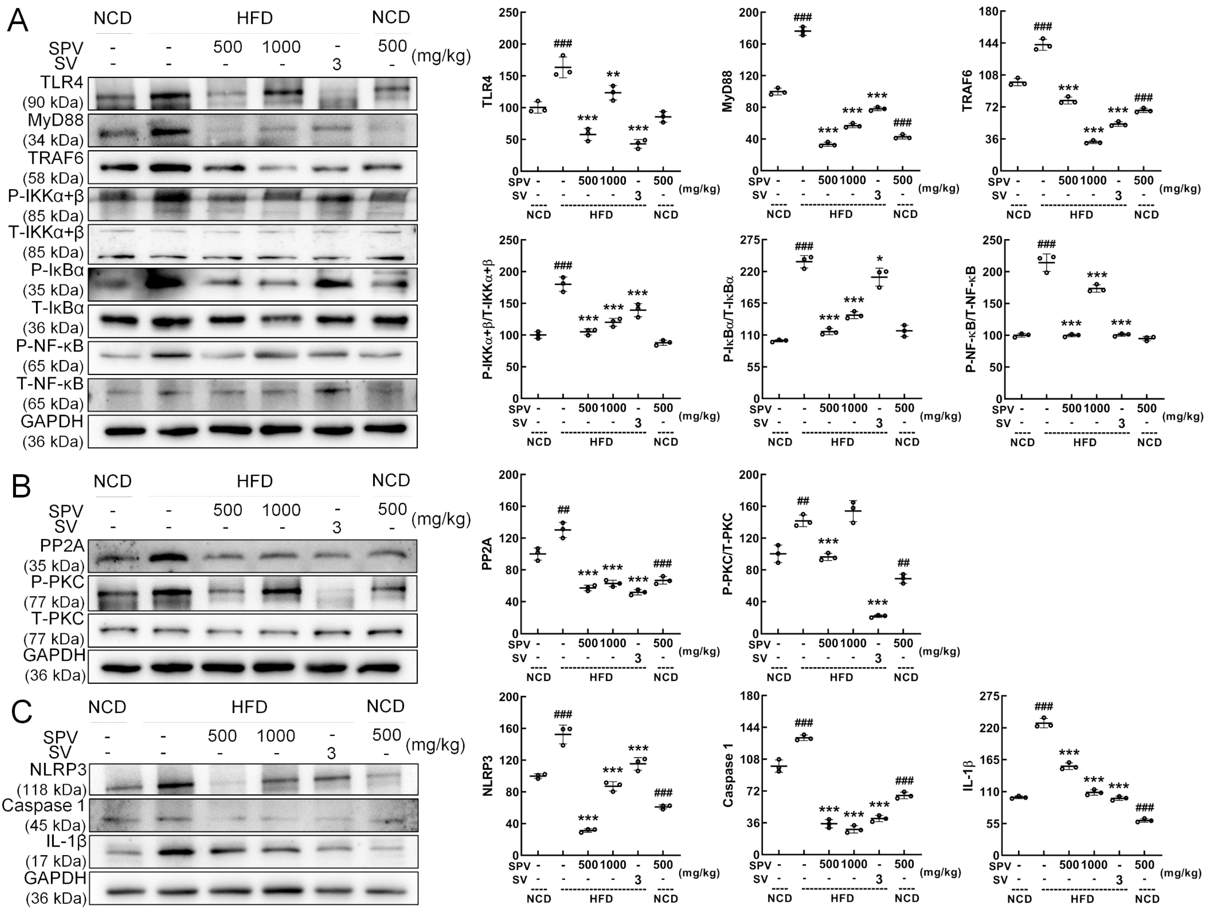Nutrients 16 02159 g005