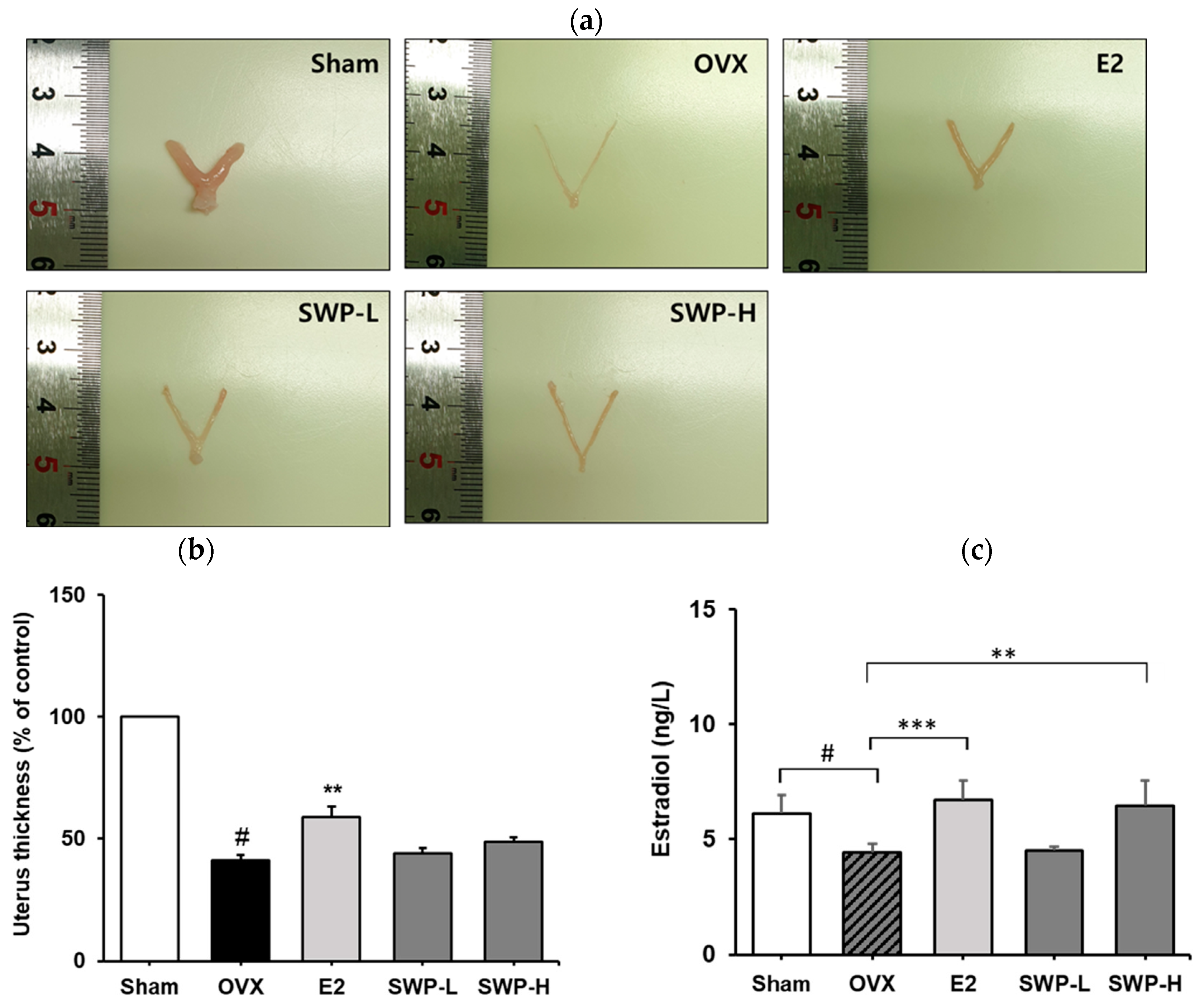 Nutrients 16 02164 g003 Nutrients 16 02164 g003