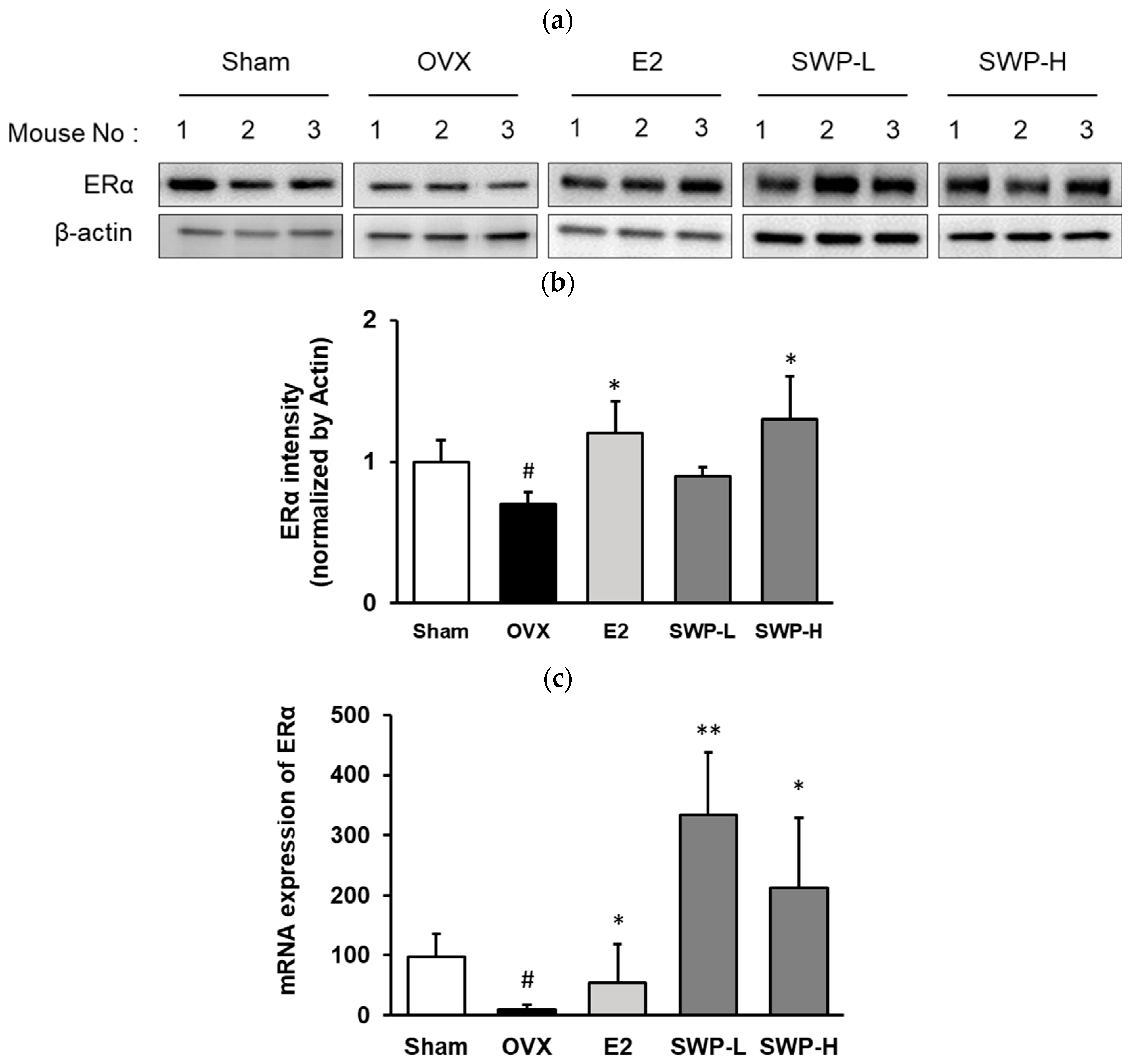 Nutrients 16 02164 g004 Nutrients 16 02164 g004