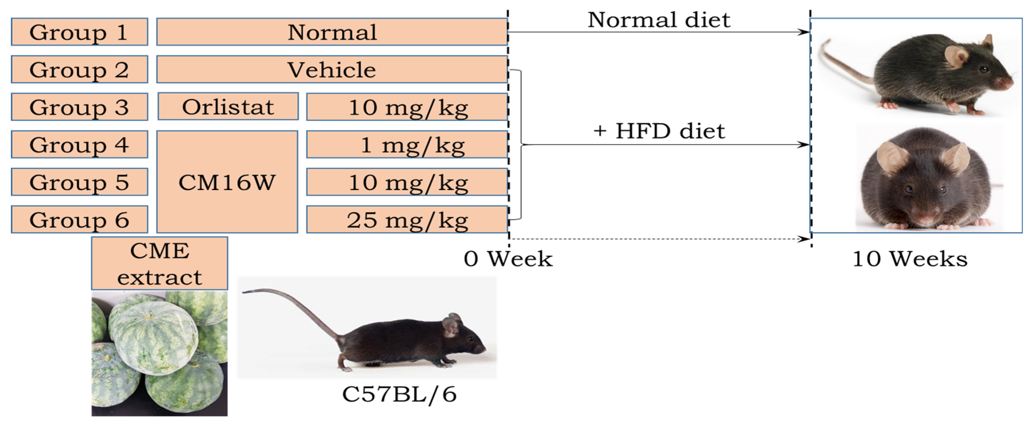 Nutrients 16 02171 g001