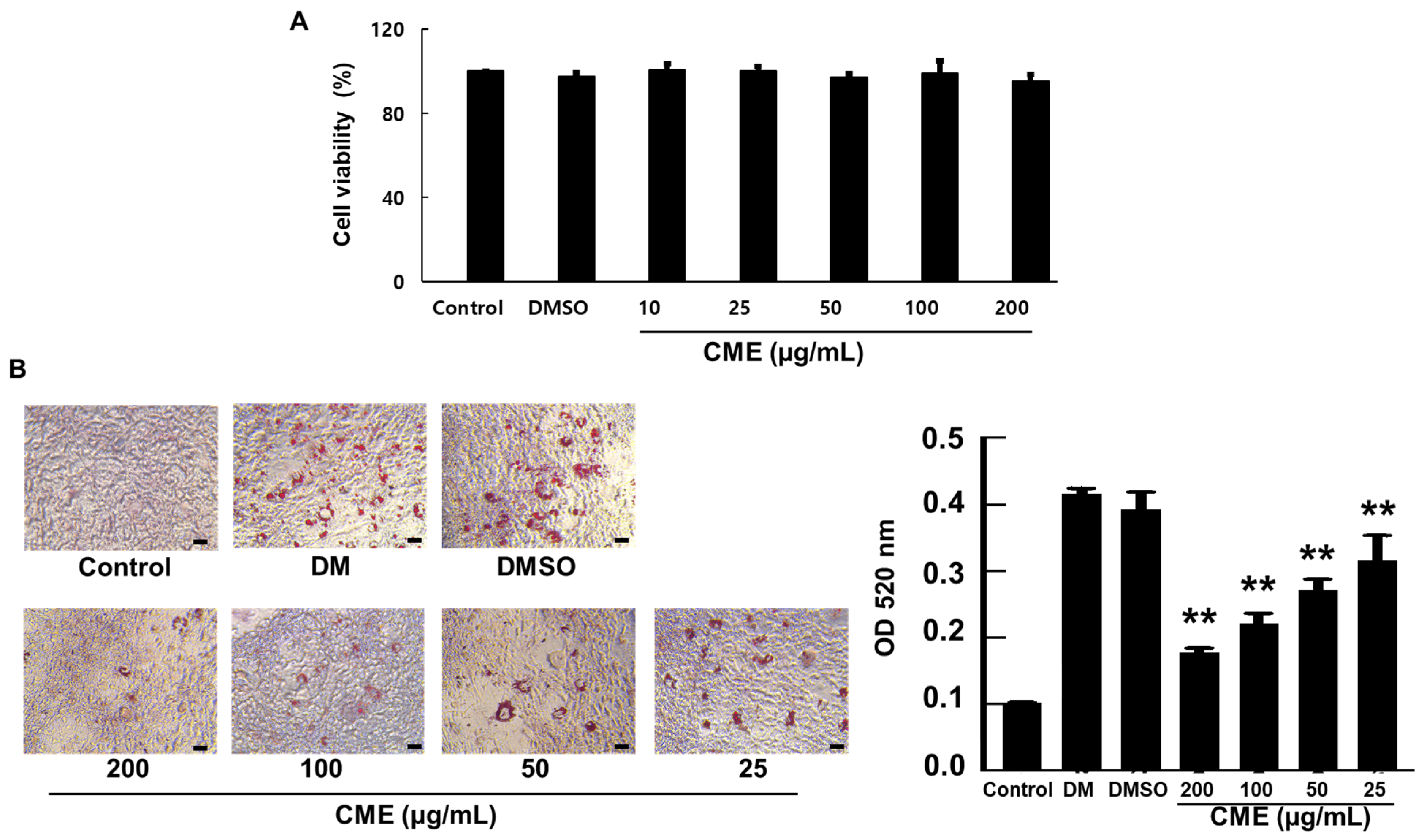 Nutrients 16 02171 g002
