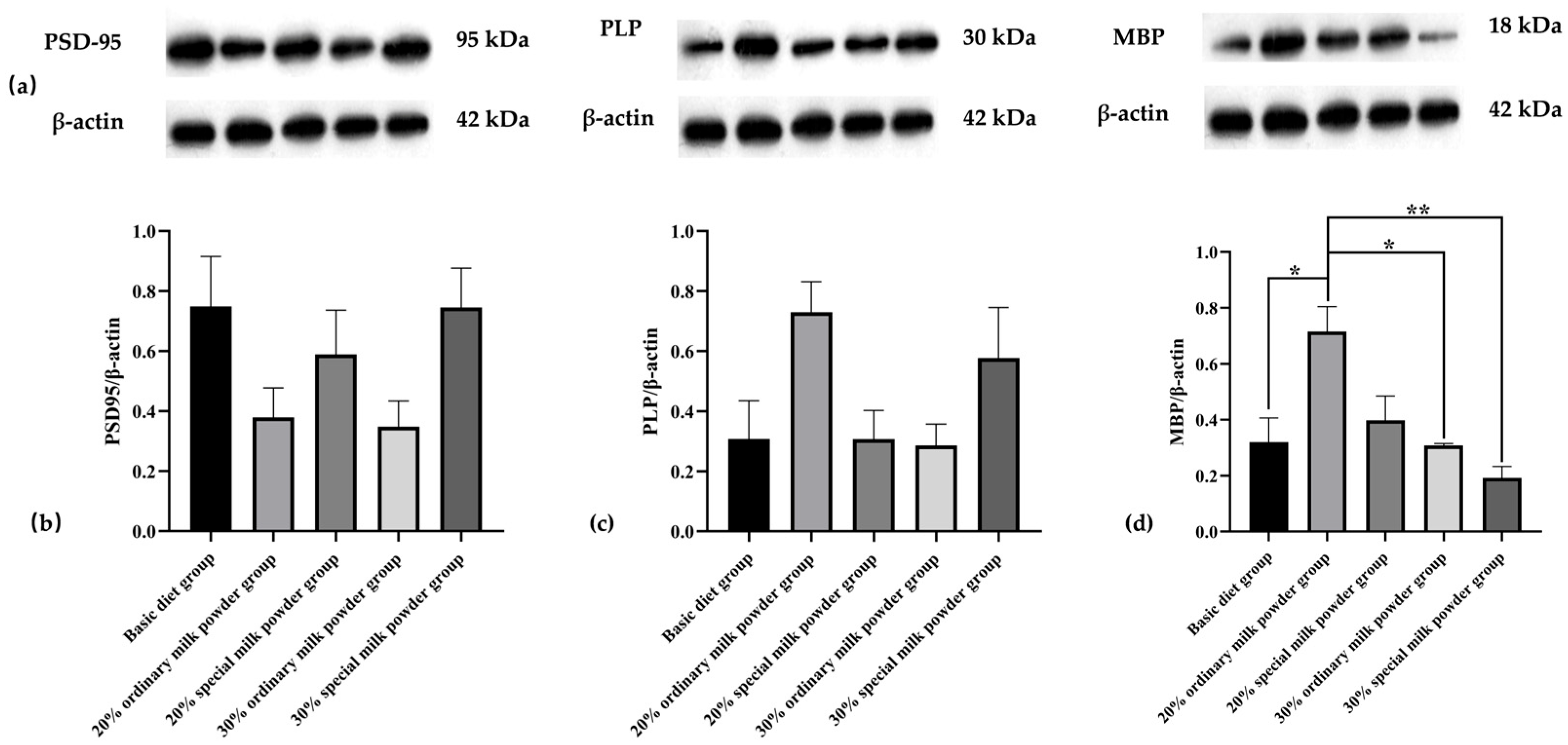 Nutrients 16 02188 g008 Nutrients 16 02188 g008