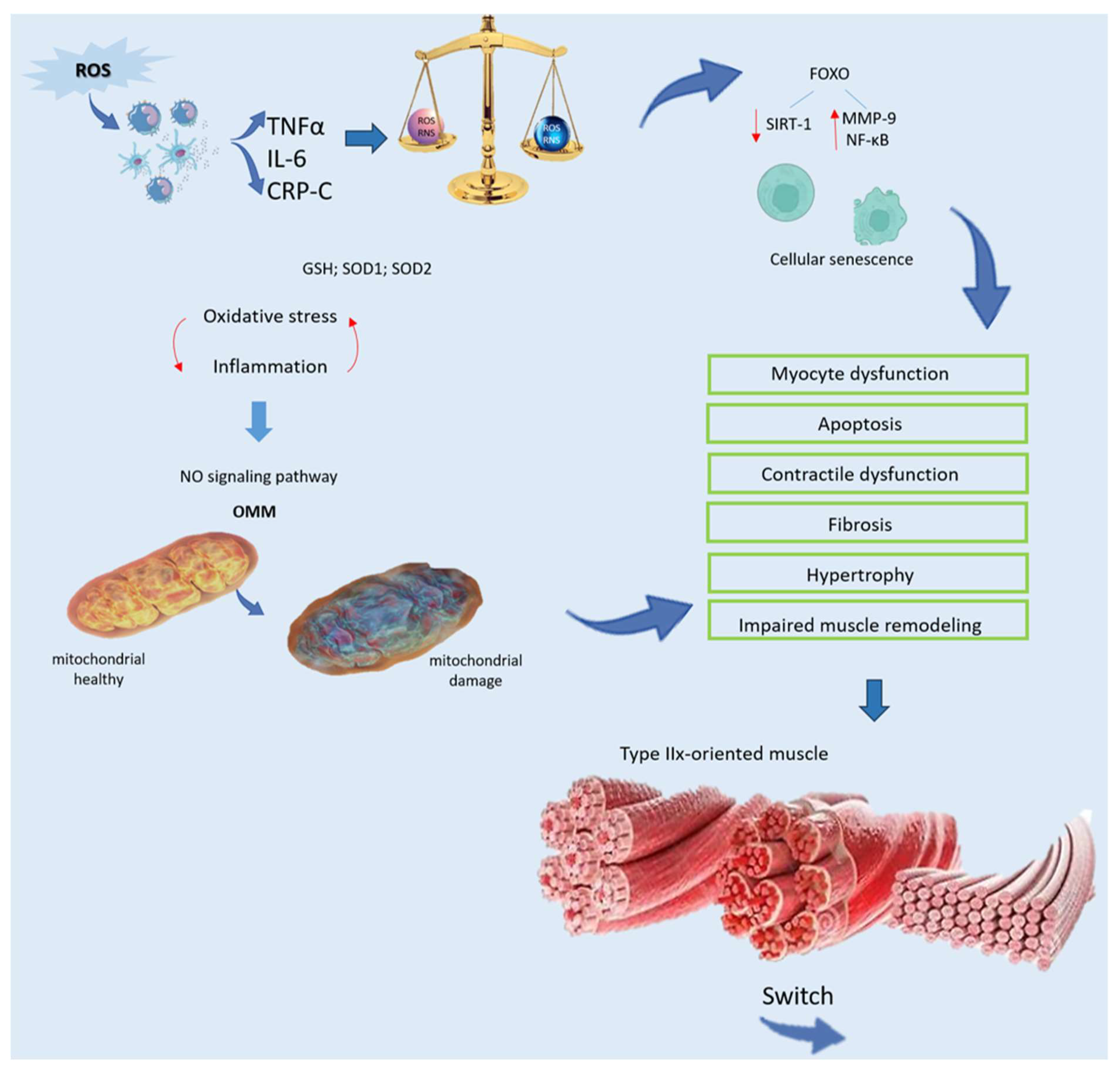 Nutrients 16 02195 g002