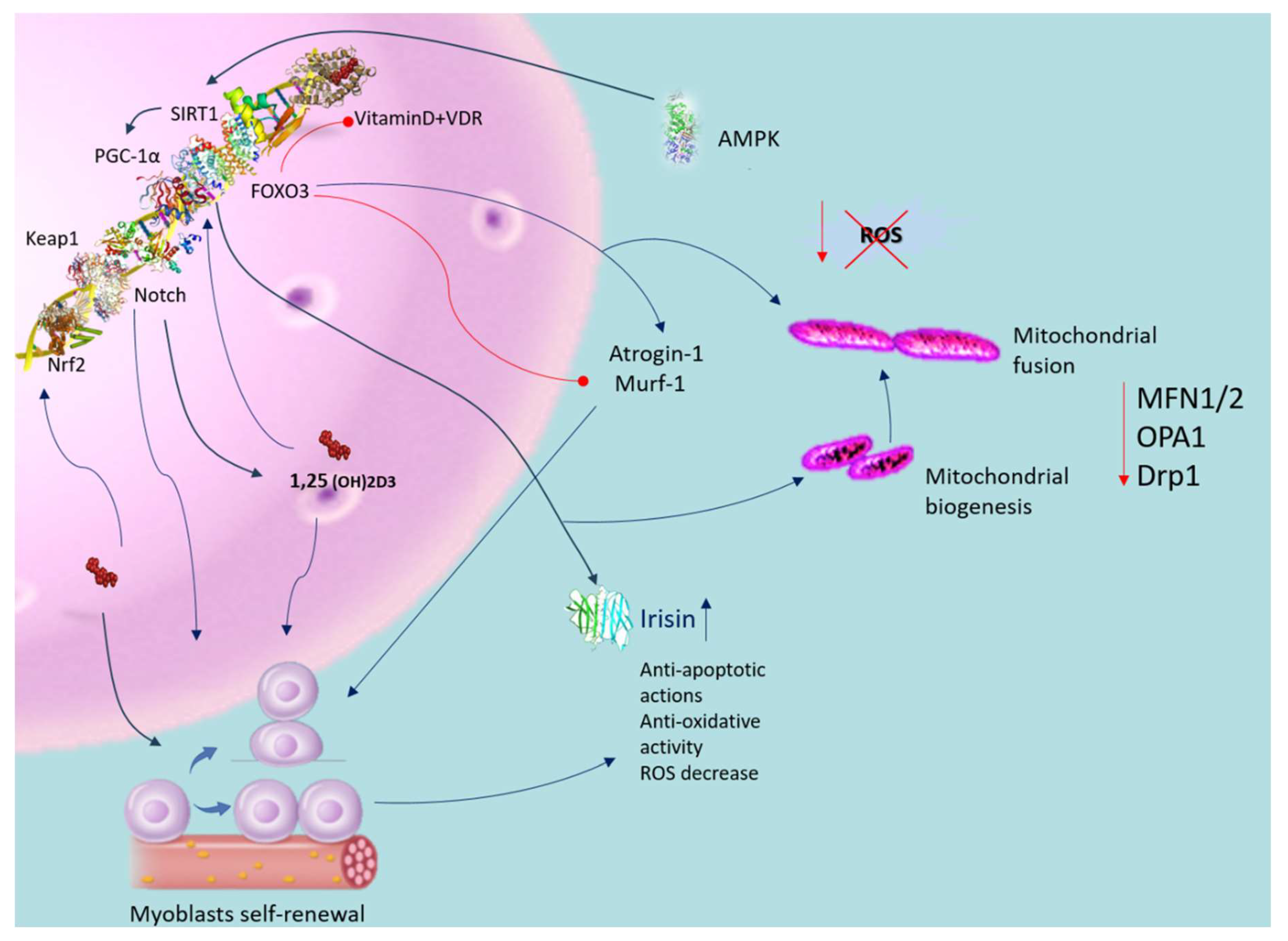 Nutrients 16 02195 g003