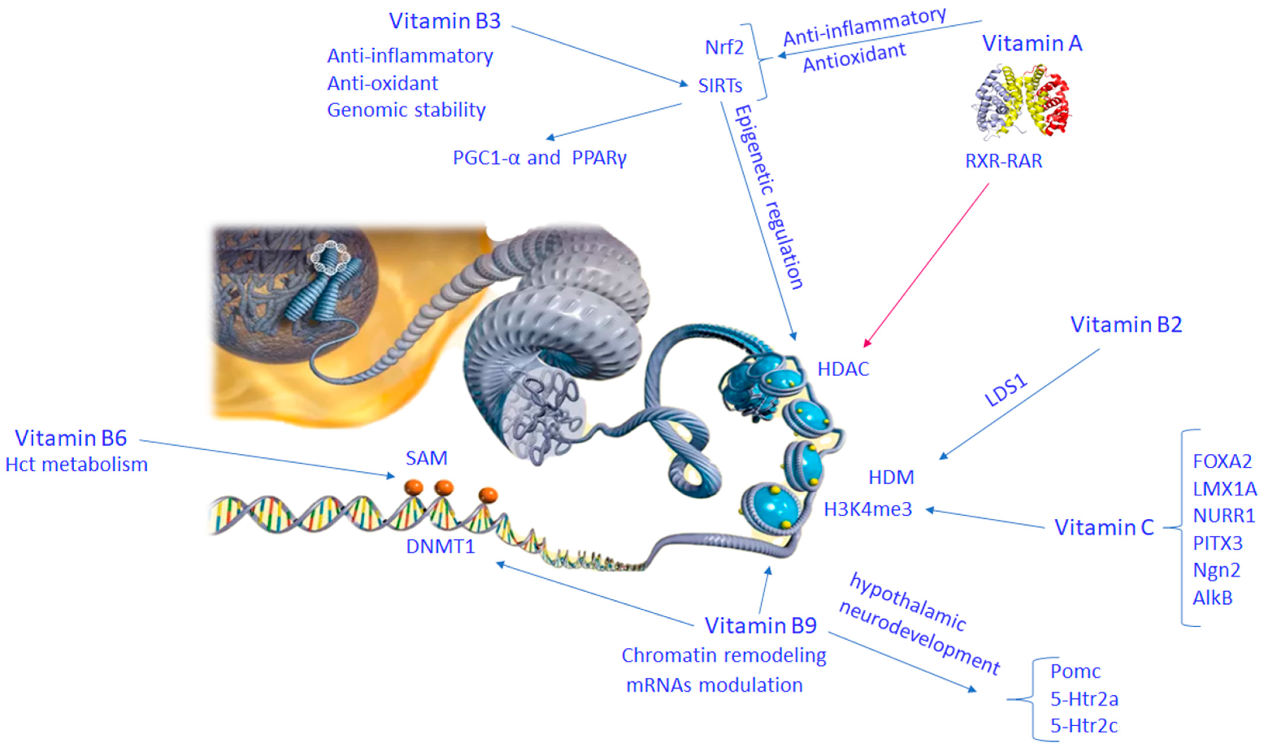 Nutrients 16 02225 g003 Nutrients 16 02225 g003