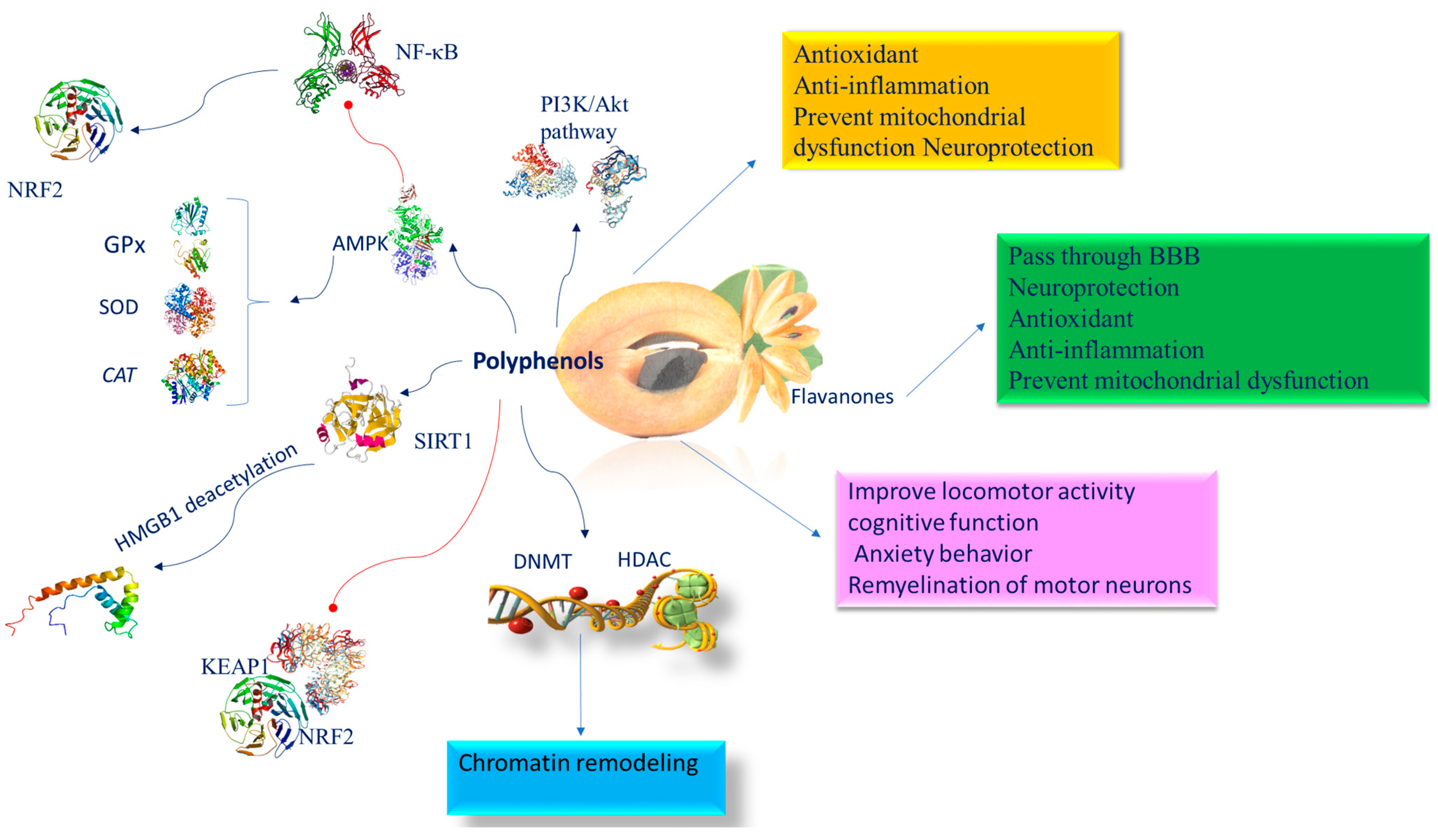 Nutrients 16 02225 g004 Nutrients 16 02225 g004