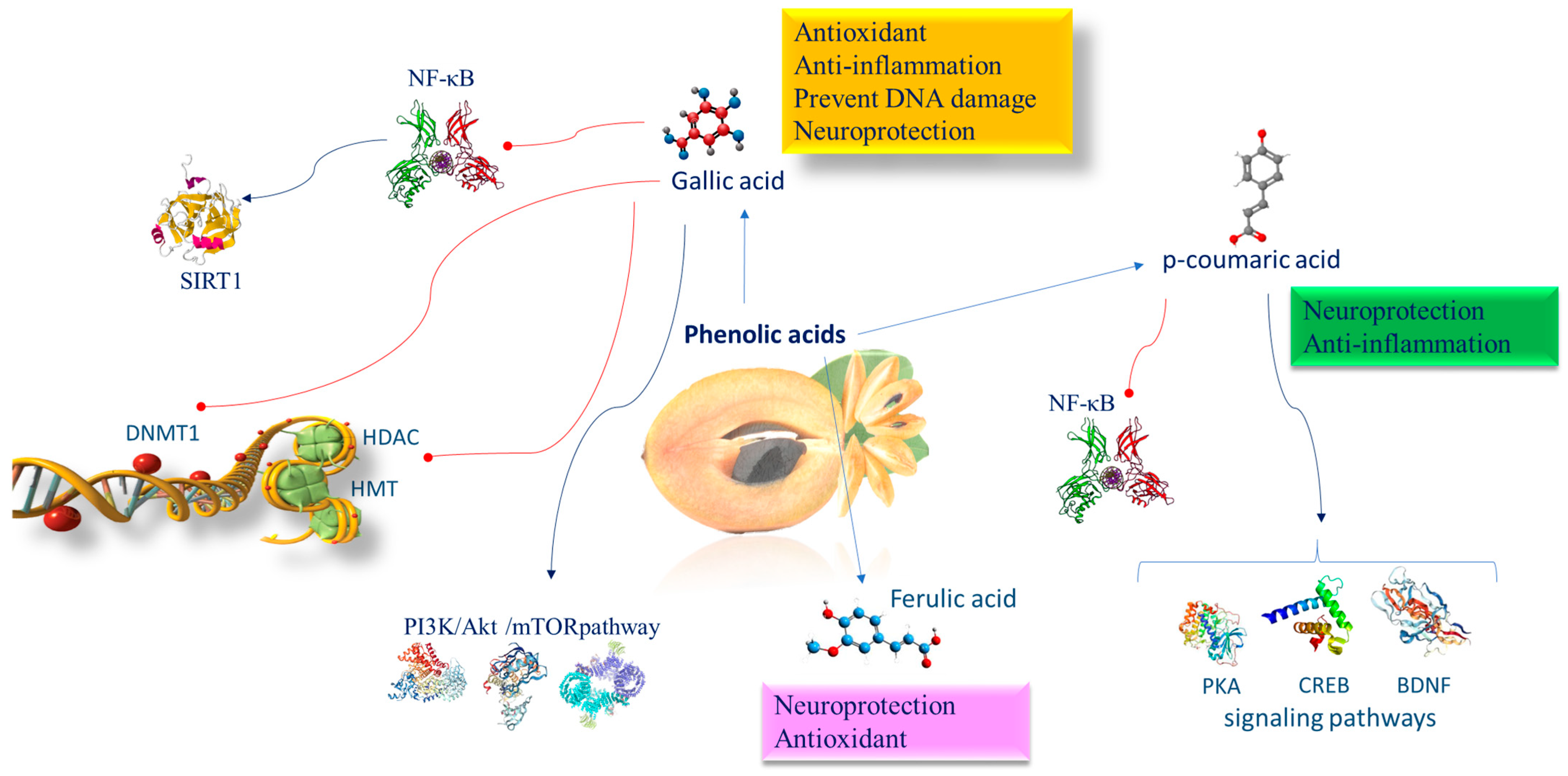 Nutrients 16 02225 g005 Nutrients 16 02225 g005