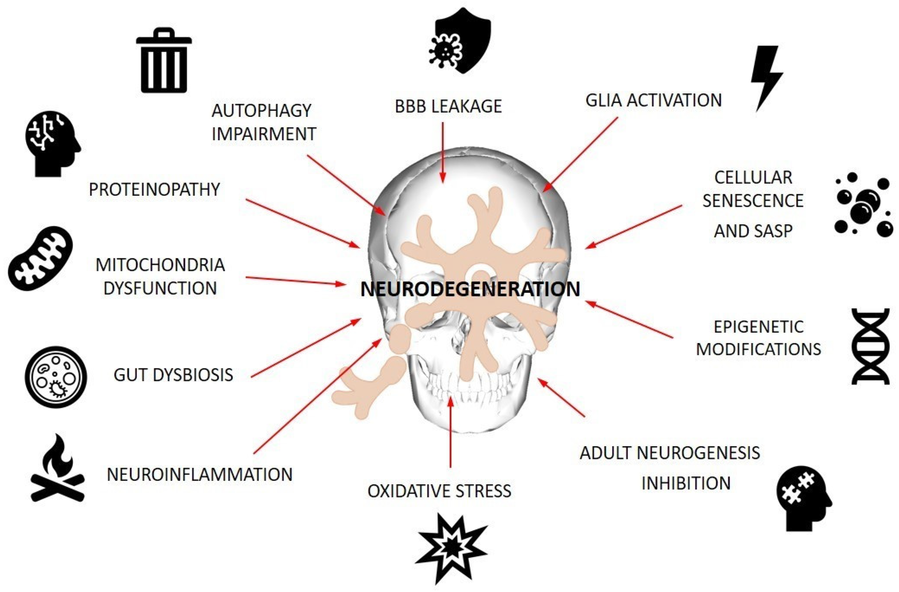 Nutrients 16 02244 g001