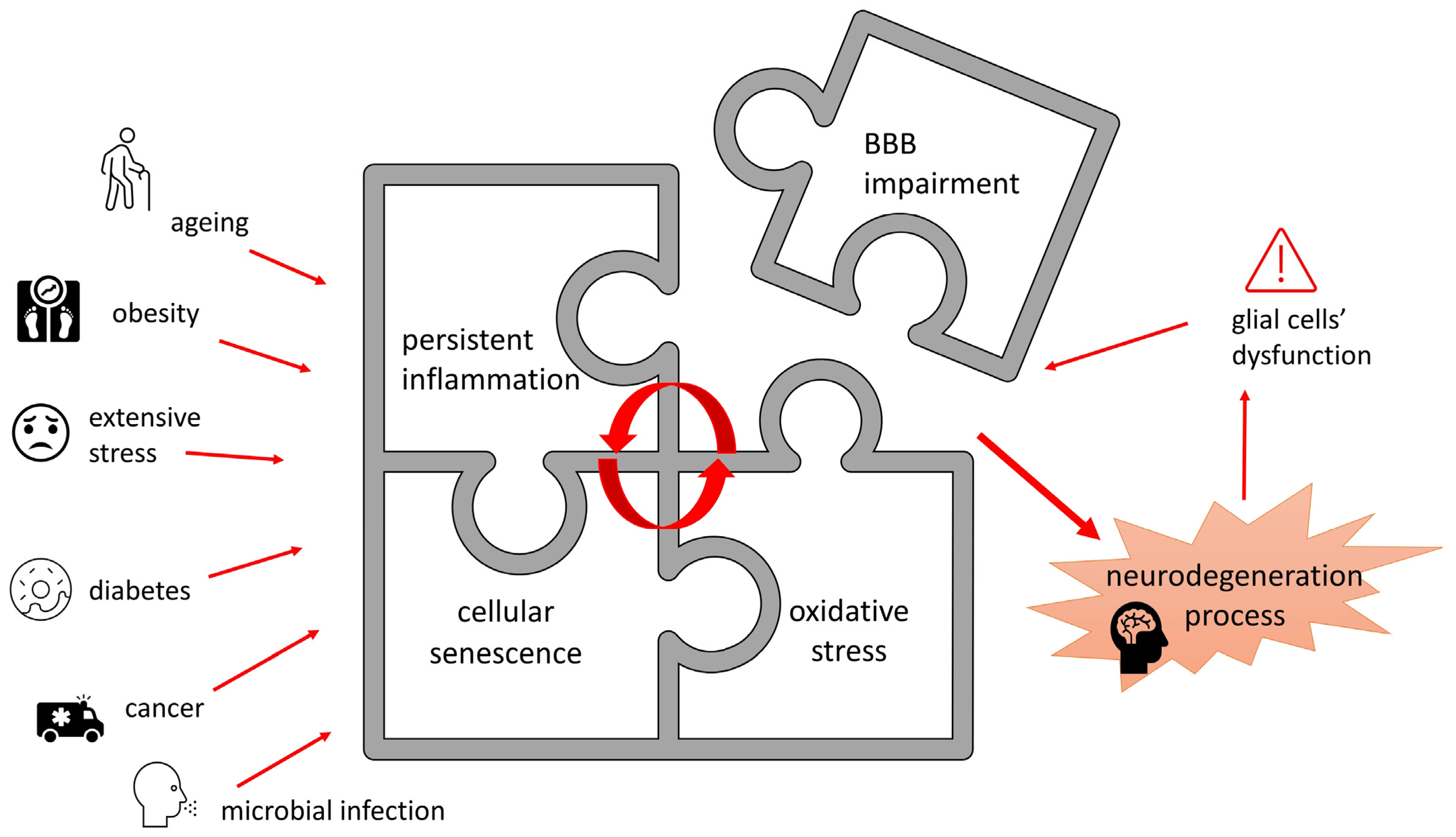 Nutrients 16 02244 g004