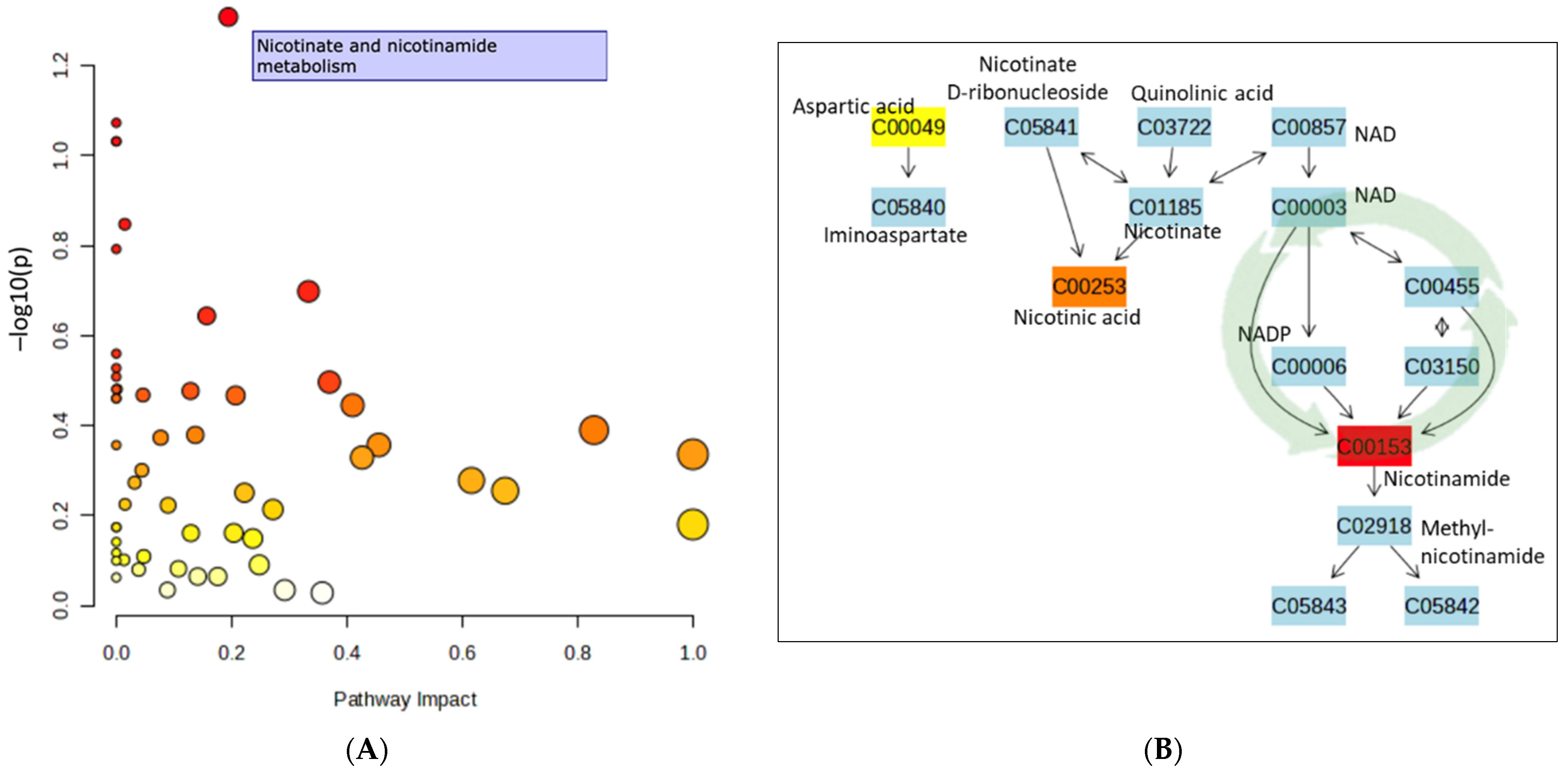 Nutrients 16 02305 g004