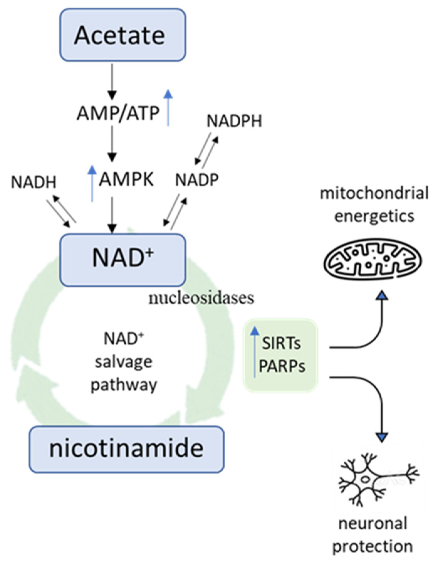 Nutrients 16 02305 g005