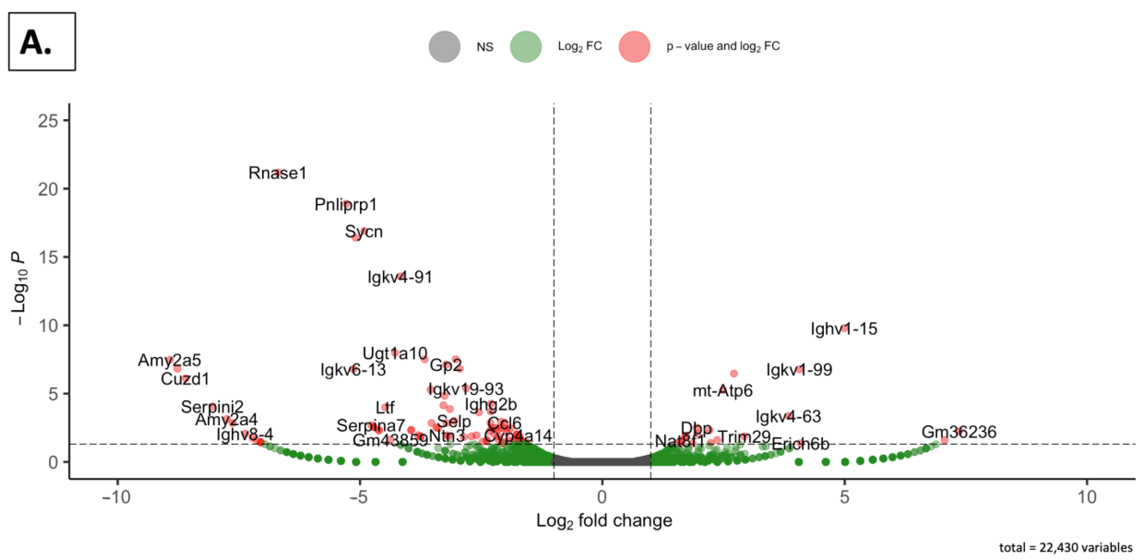 Nutrients 16 02309 g006a