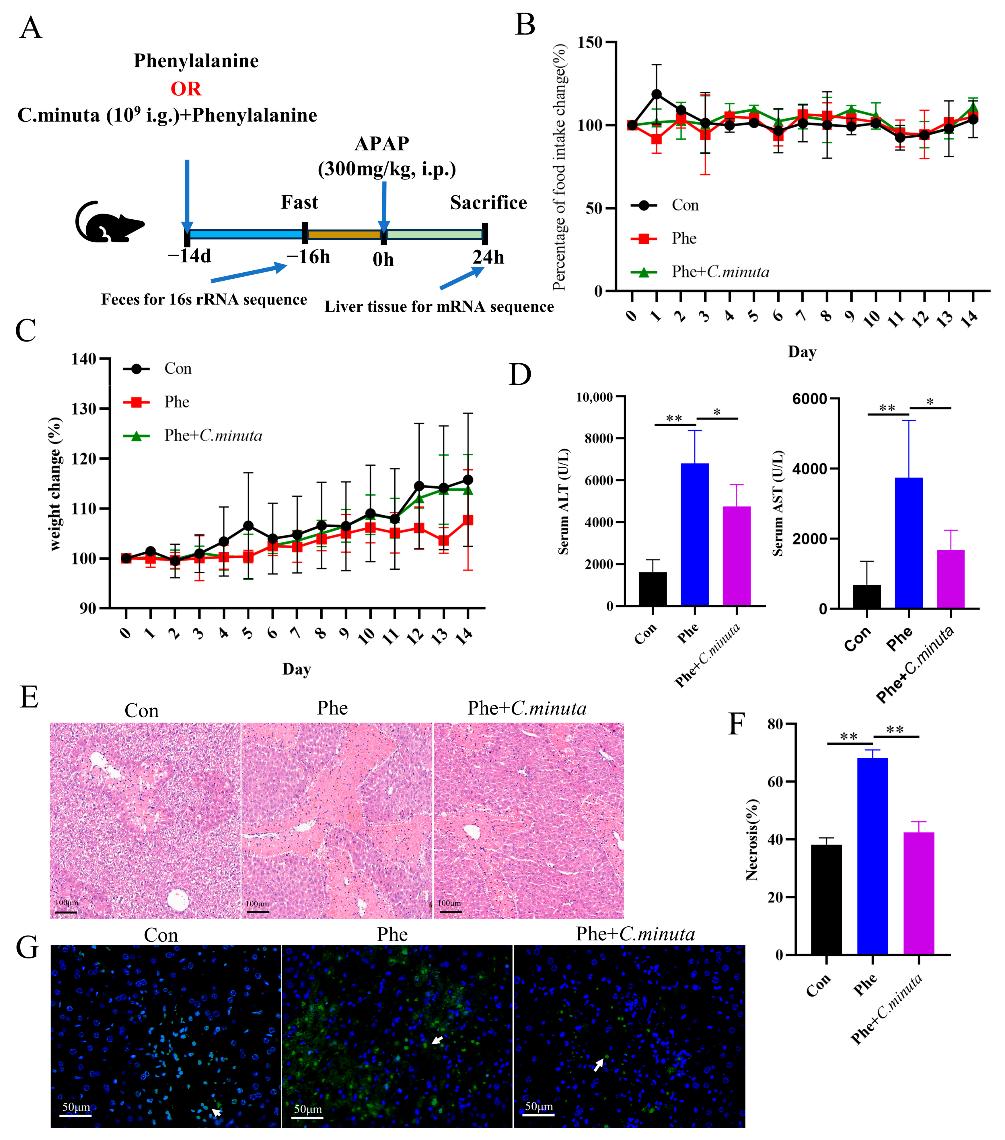 Nutrients 16 02314 g005