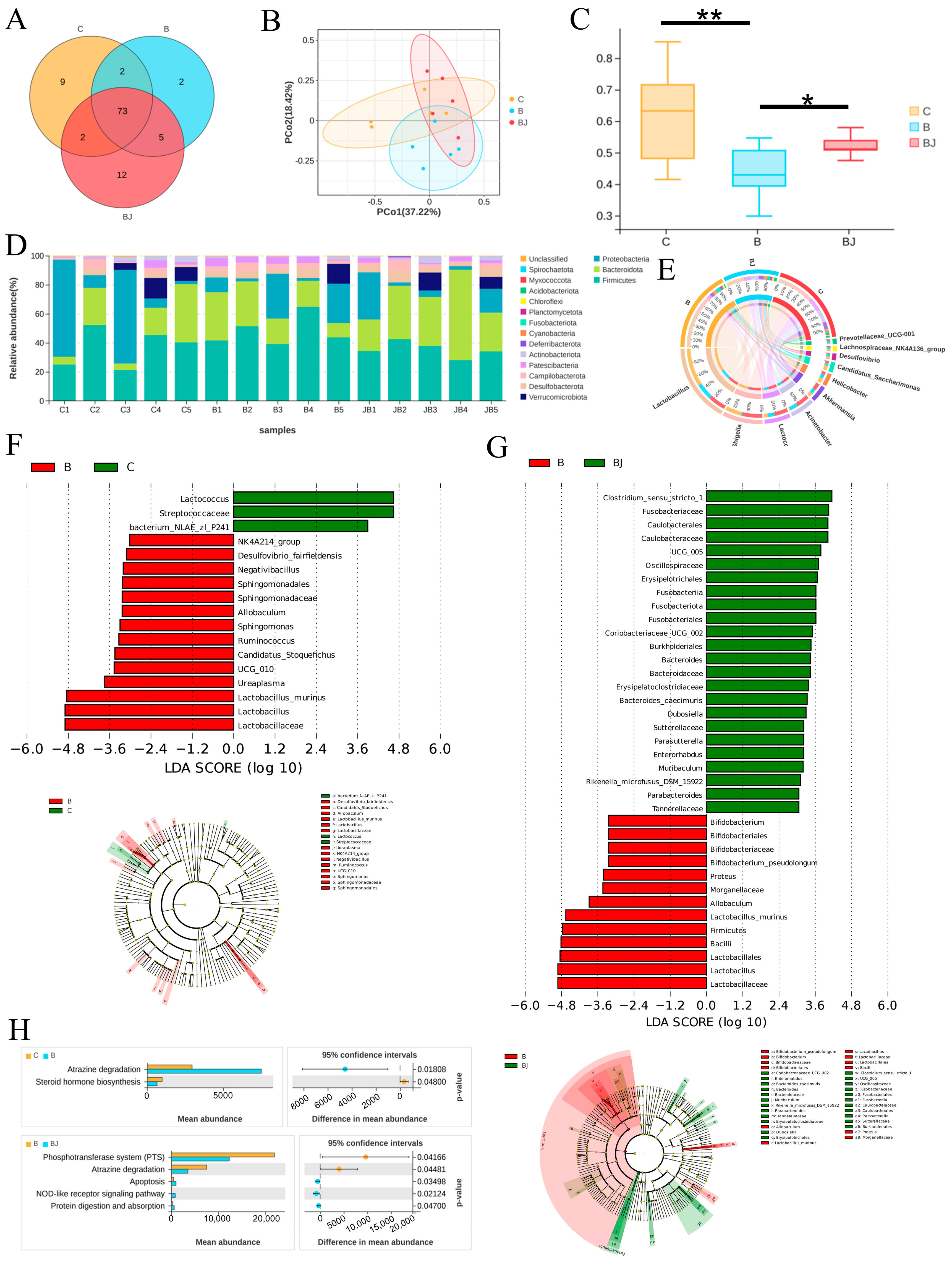 Nutrients 16 02314 g008