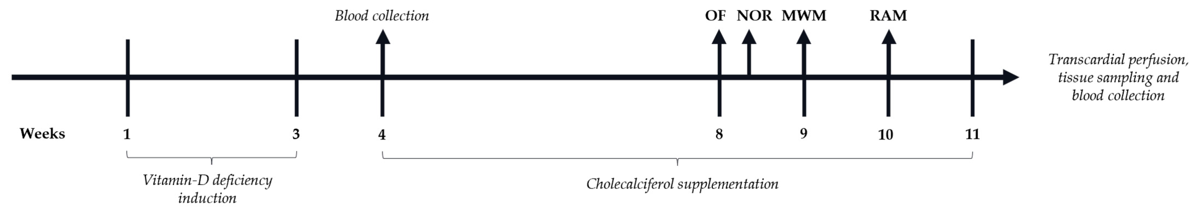 Nutrients 16 02326 g001