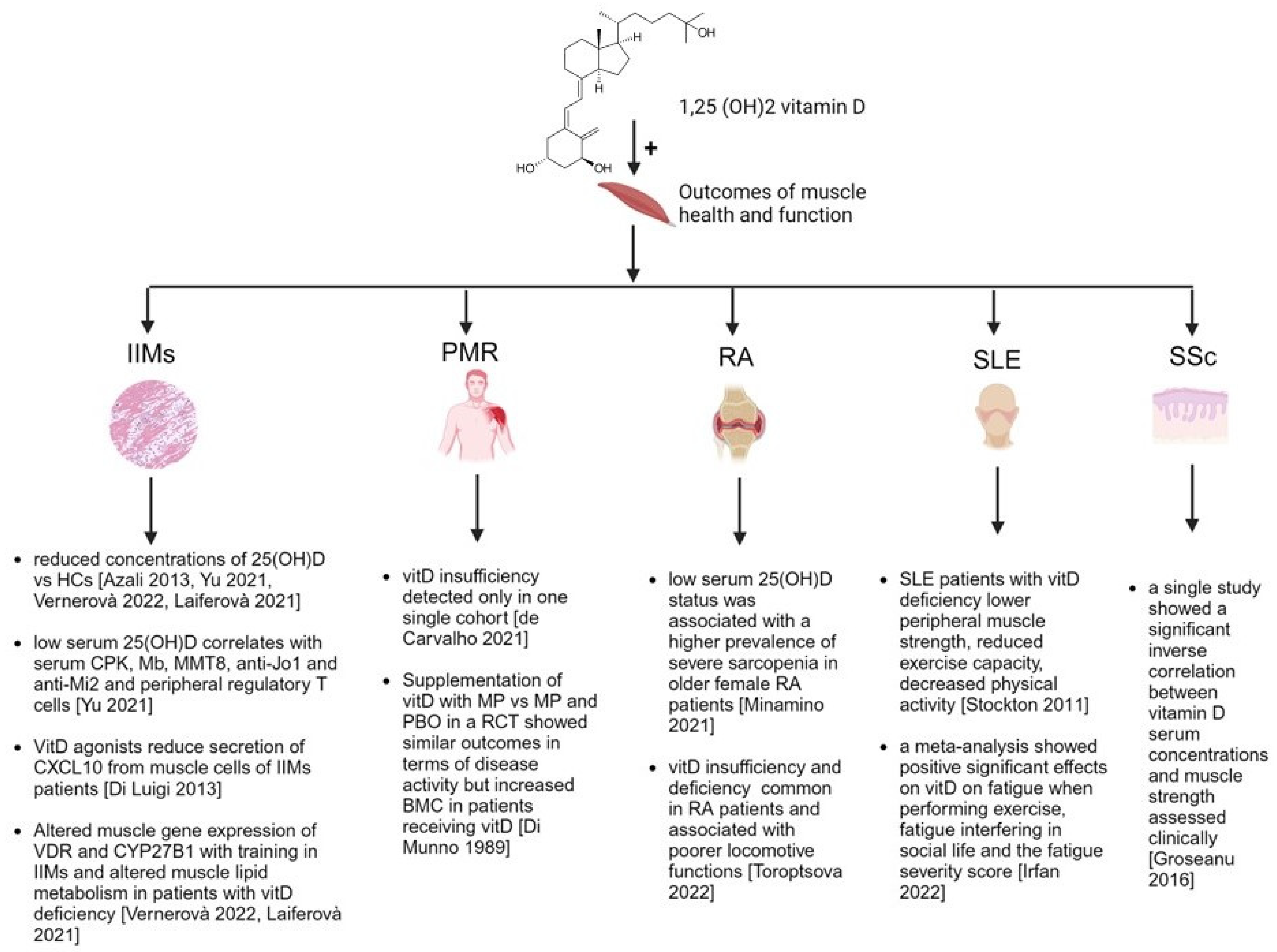 Nutrients | Free Full-Text | Vitamin D and Muscle Status in Inflammatory  and Autoimmune Rheumatic Diseases: An Update