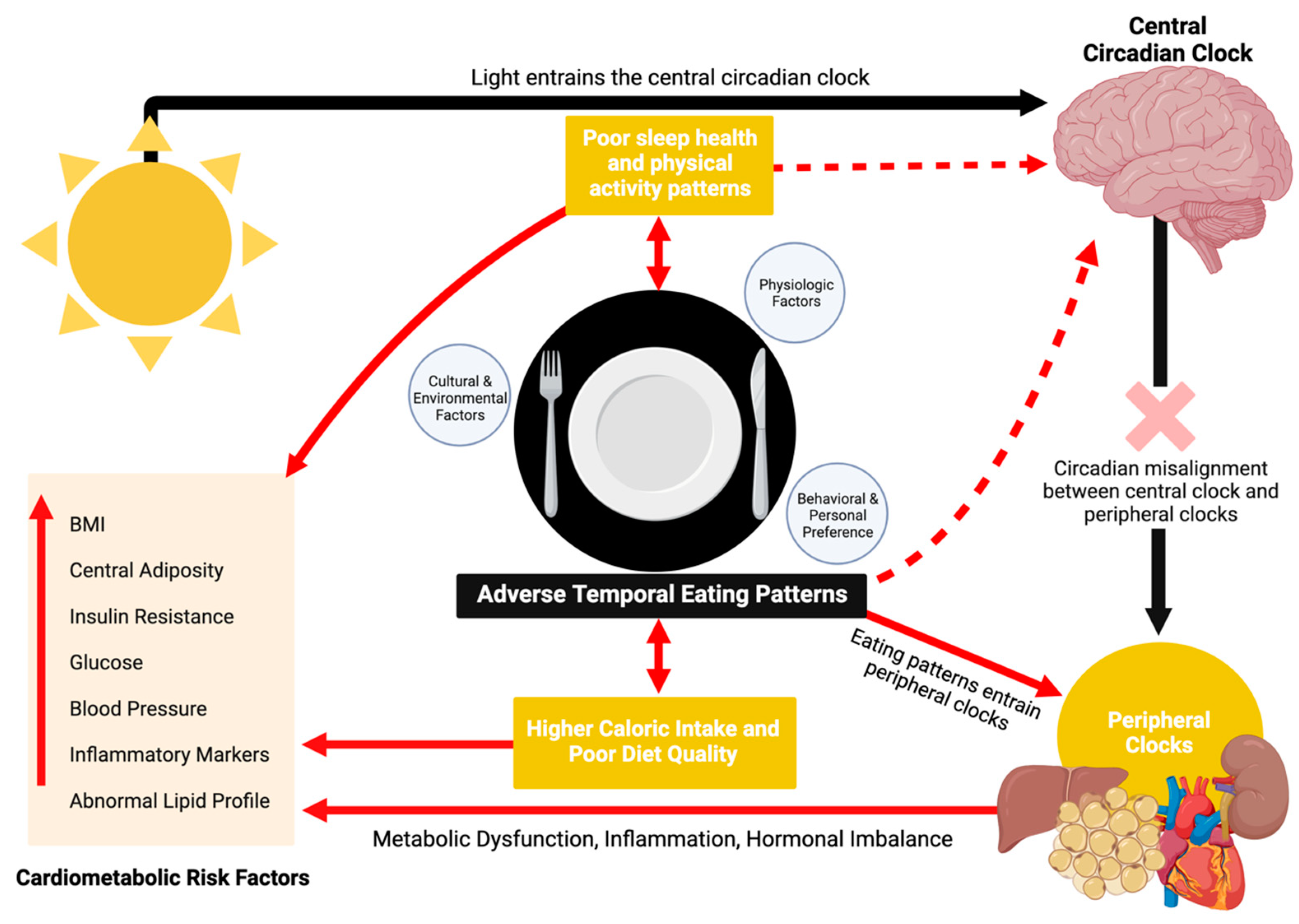 Nutrients 16 02332 g002