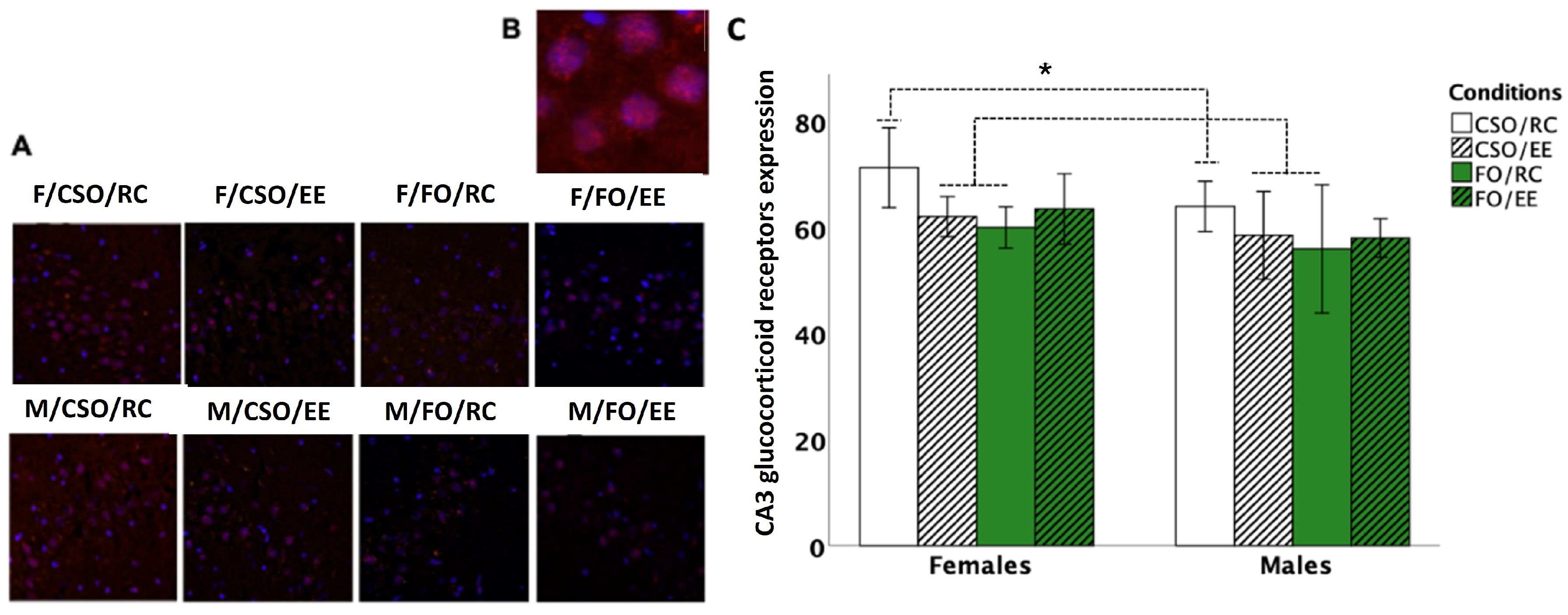 Nutrients 16 02350 g008