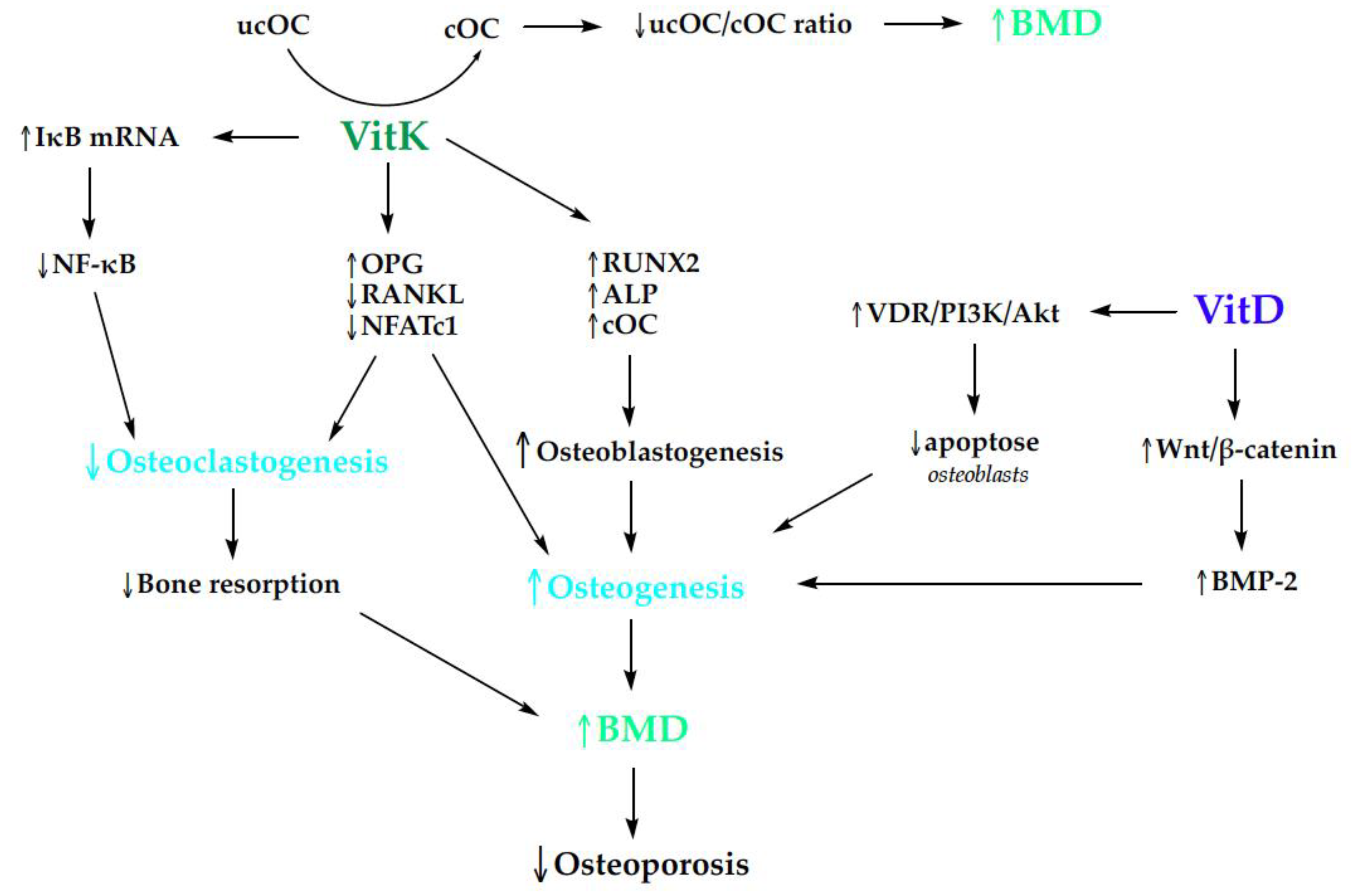 Nutrients 16 02356 g005