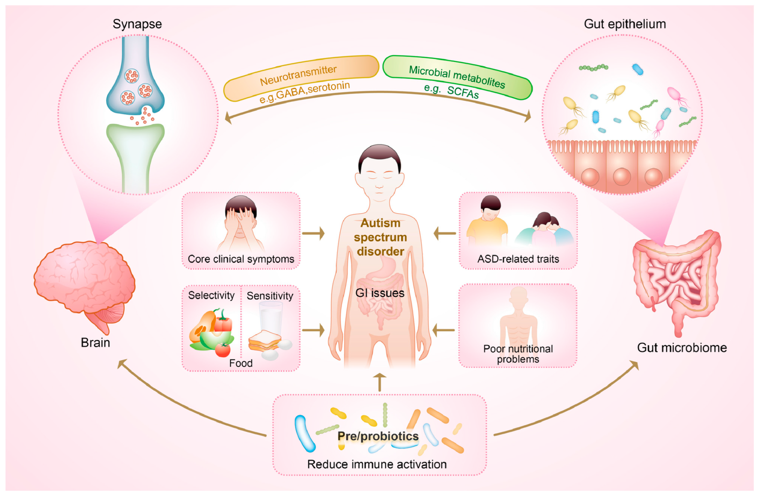 Nutrients 16 02382 g001