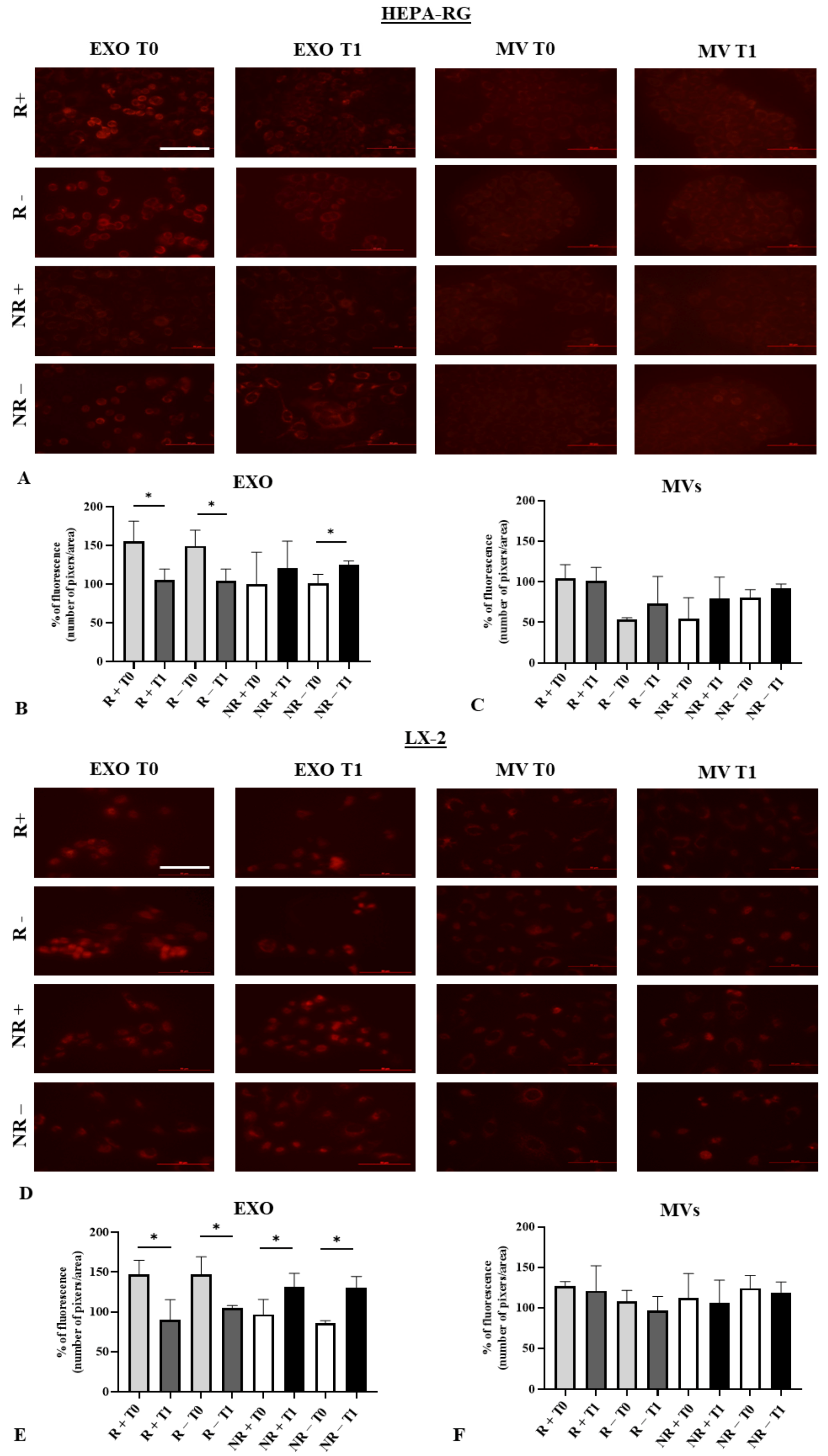 Nutrients 16 02386 g005