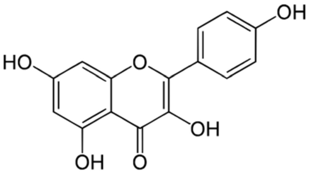 Nutrients 16 02392 g001