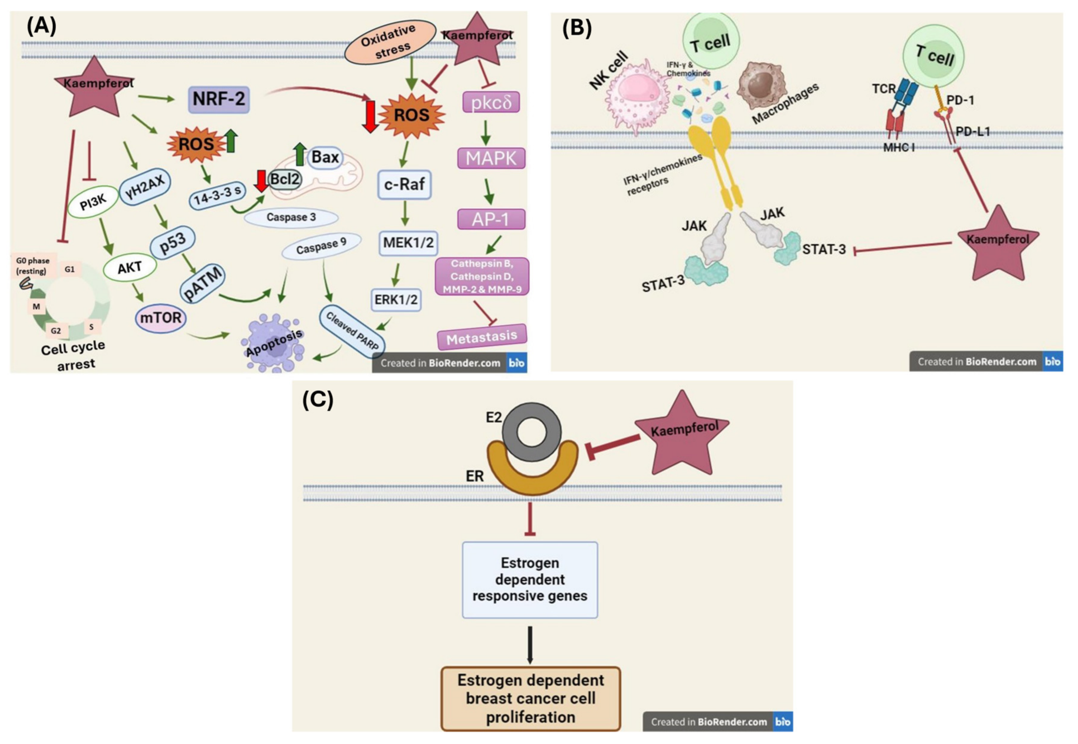 Nutrients 16 02392 g004