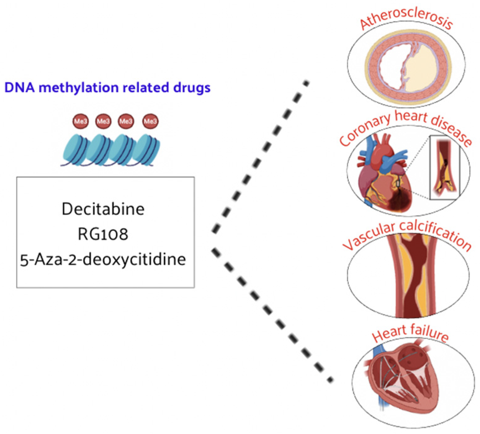 Nutrients 16 02399 g005