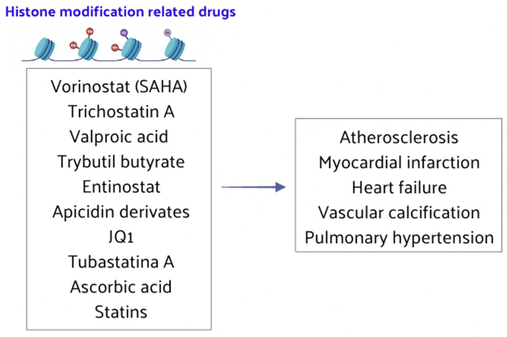 Nutrients 16 02399 g006