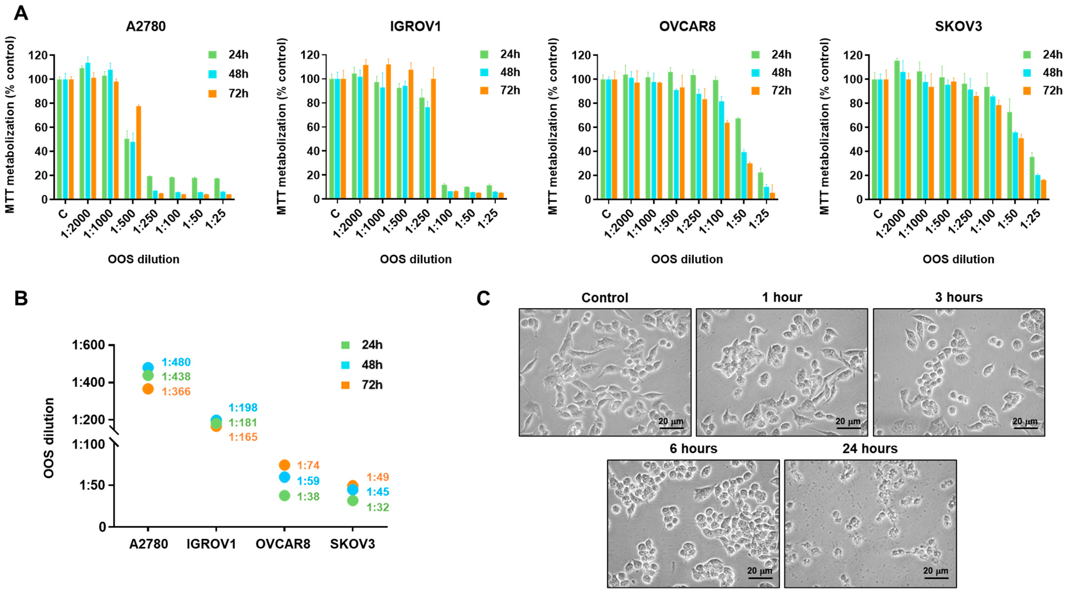 Nutrients 16 02416 g001