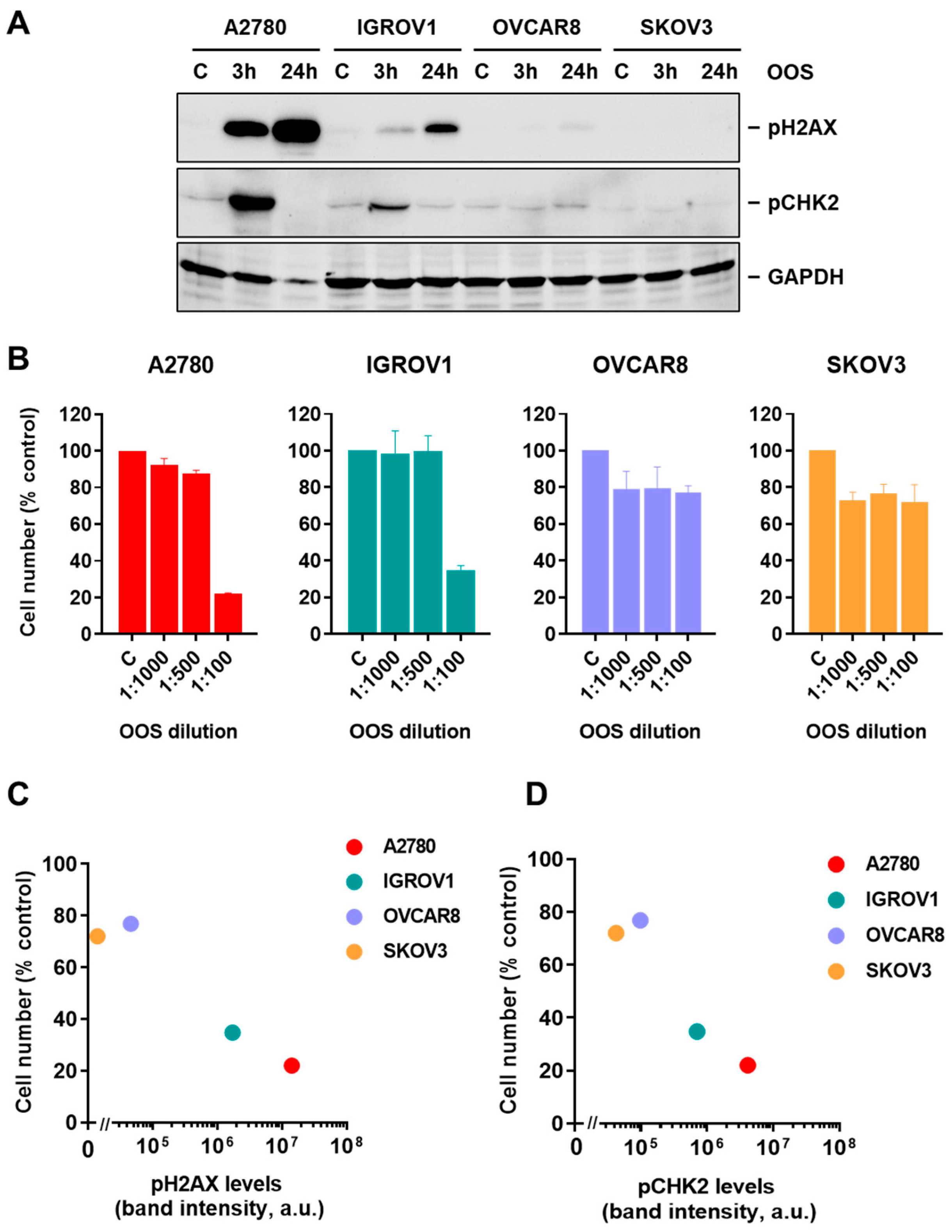 Nutrients 16 02416 g004