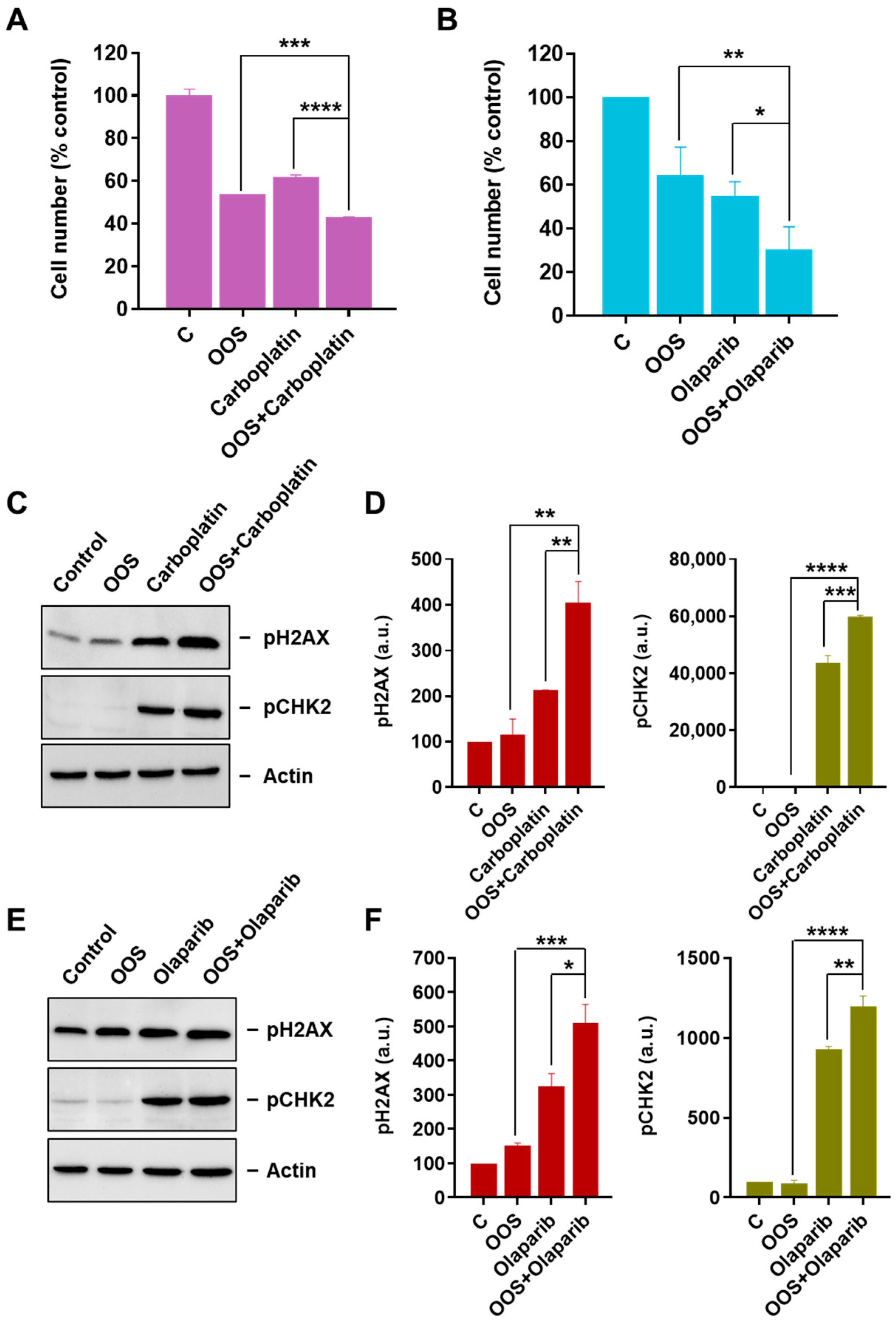 Nutrients 16 02416 g005