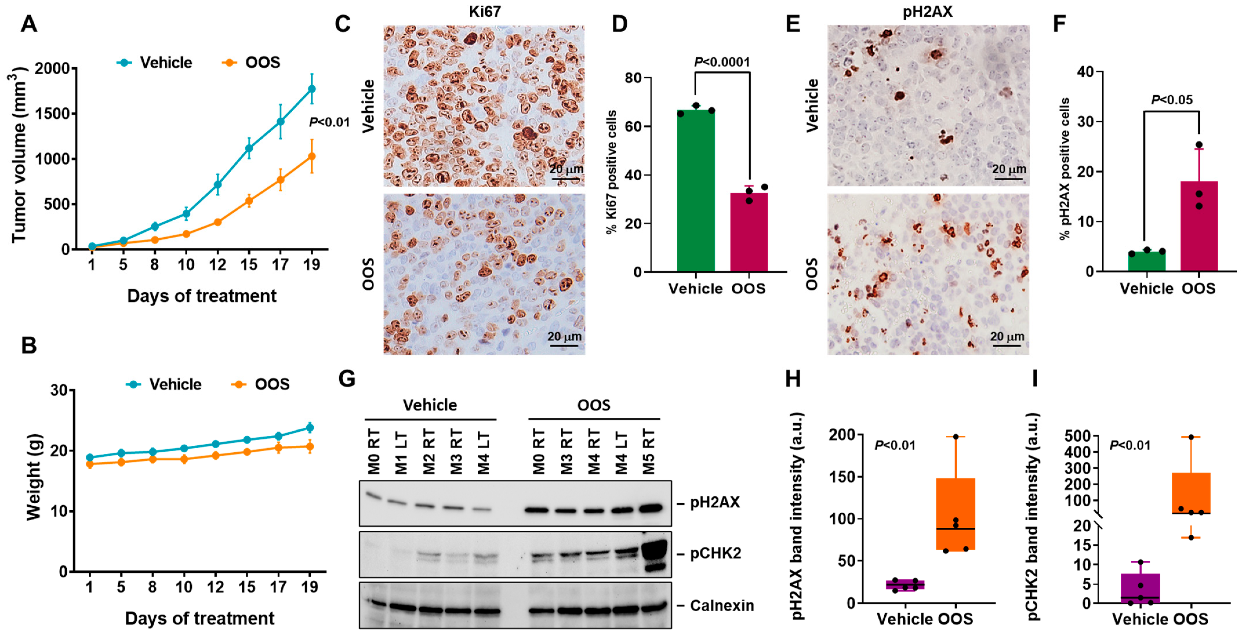 Nutrients 16 02416 g006