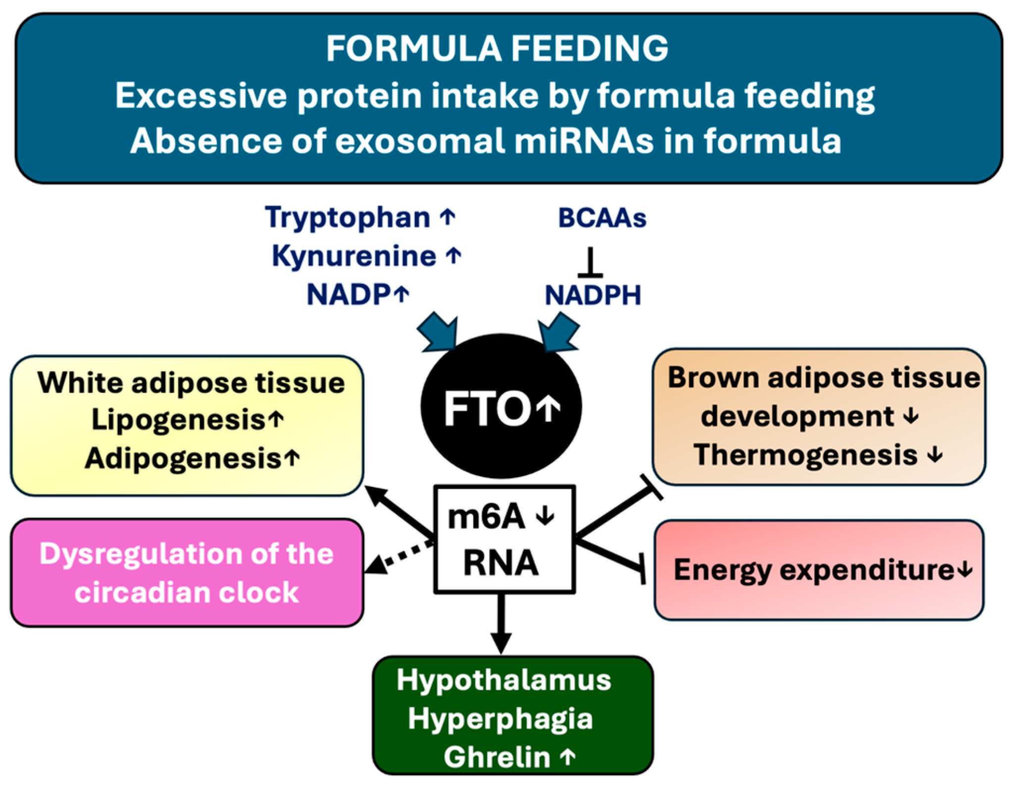 Nutrients 16 02451 g005