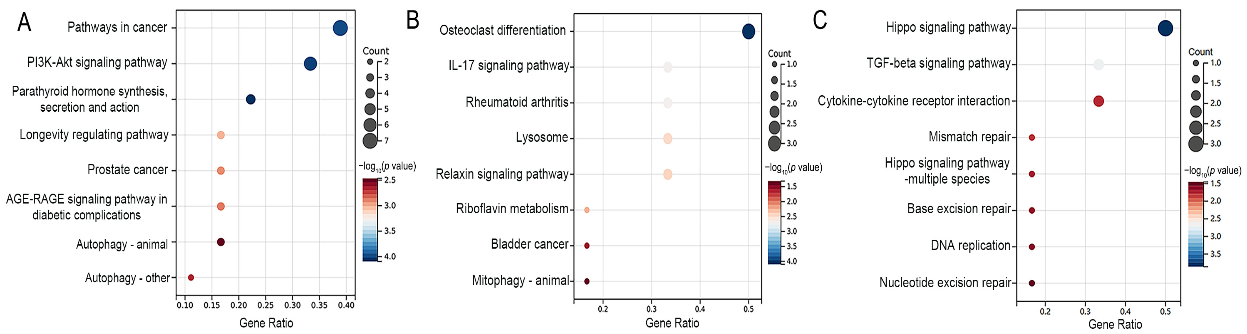 Nutrients 16 02500 g003