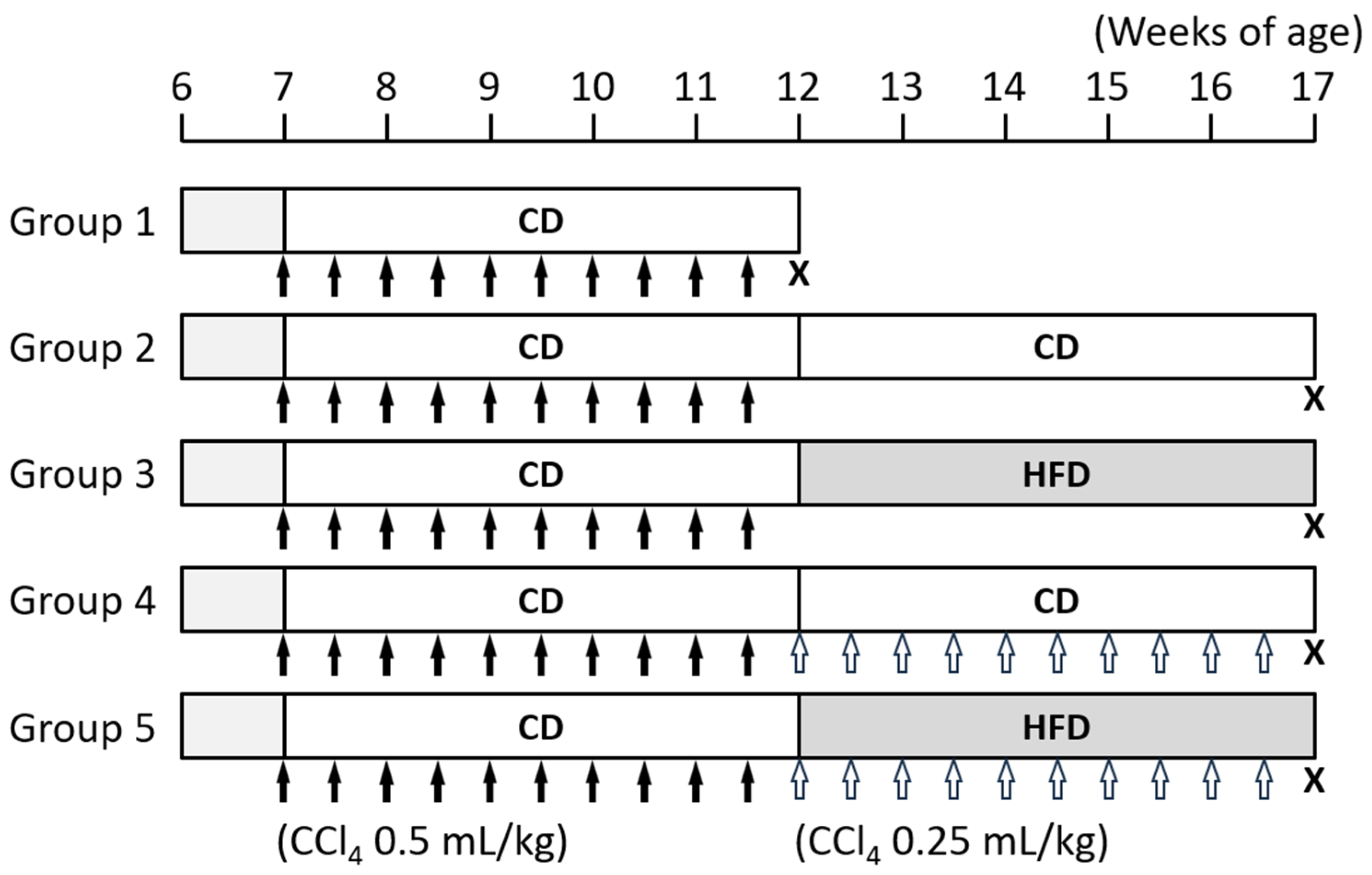 Nutrients 16 02506 g001
