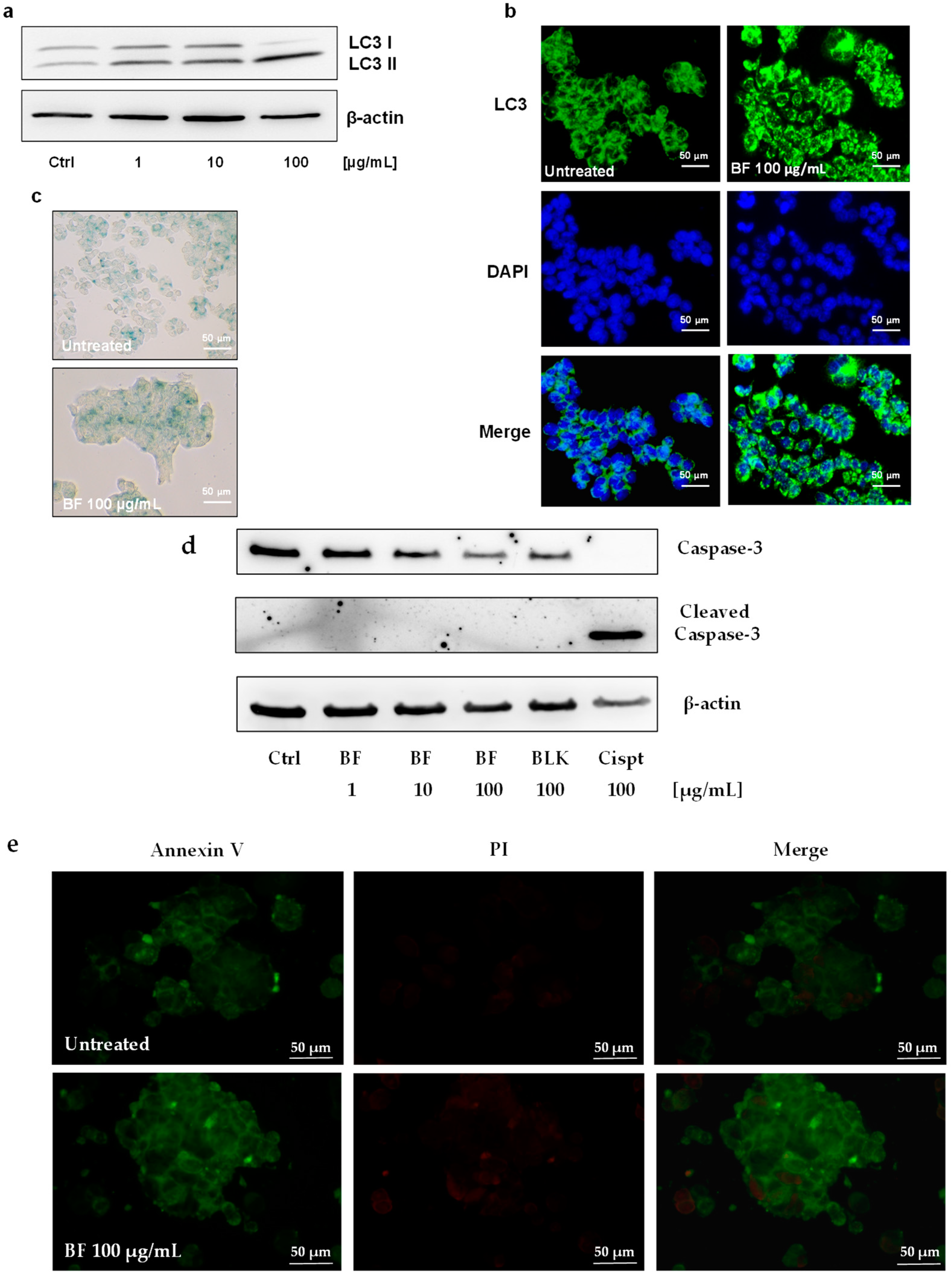 Nutrients 16 02534 g002