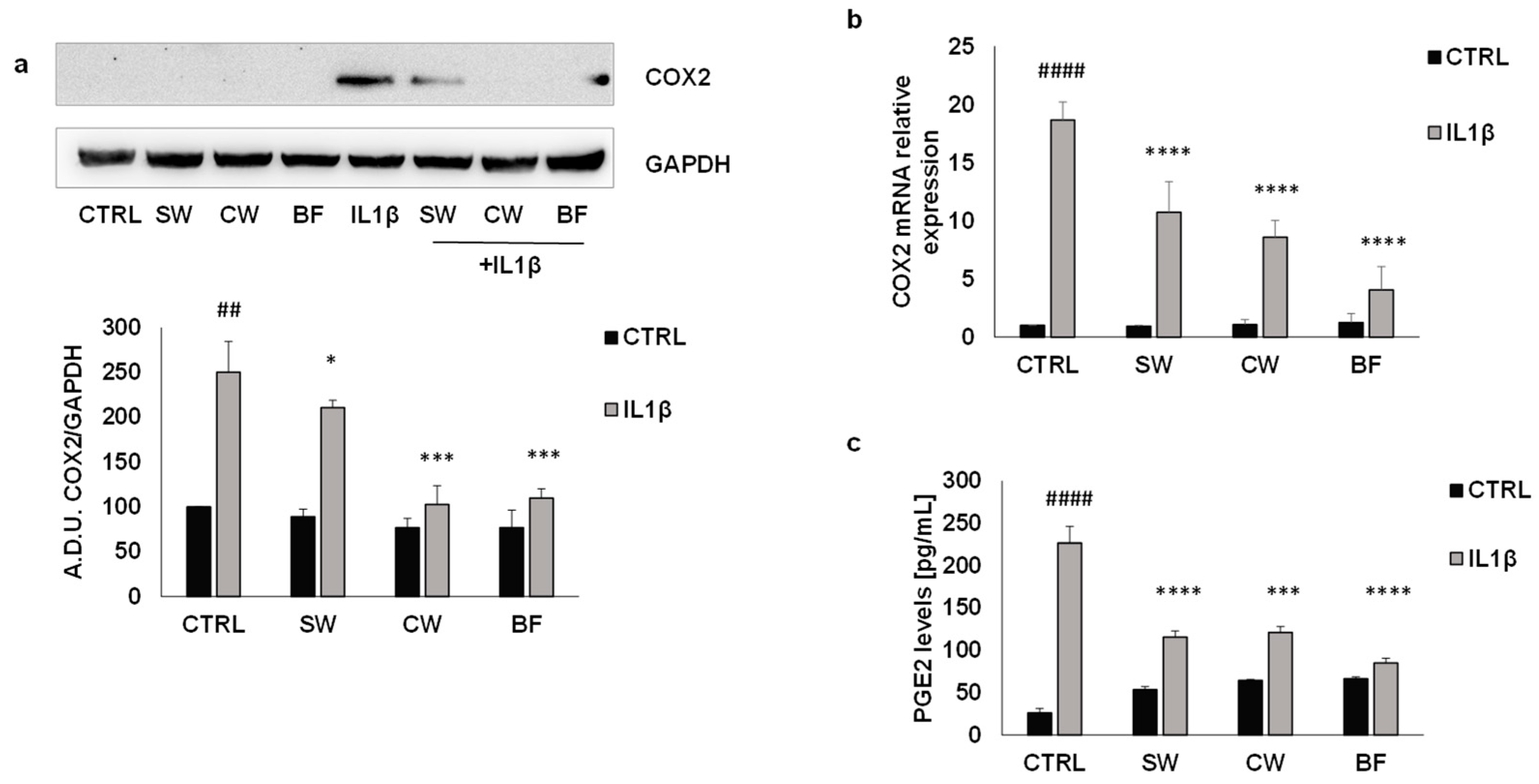 Nutrients 16 02534 g004