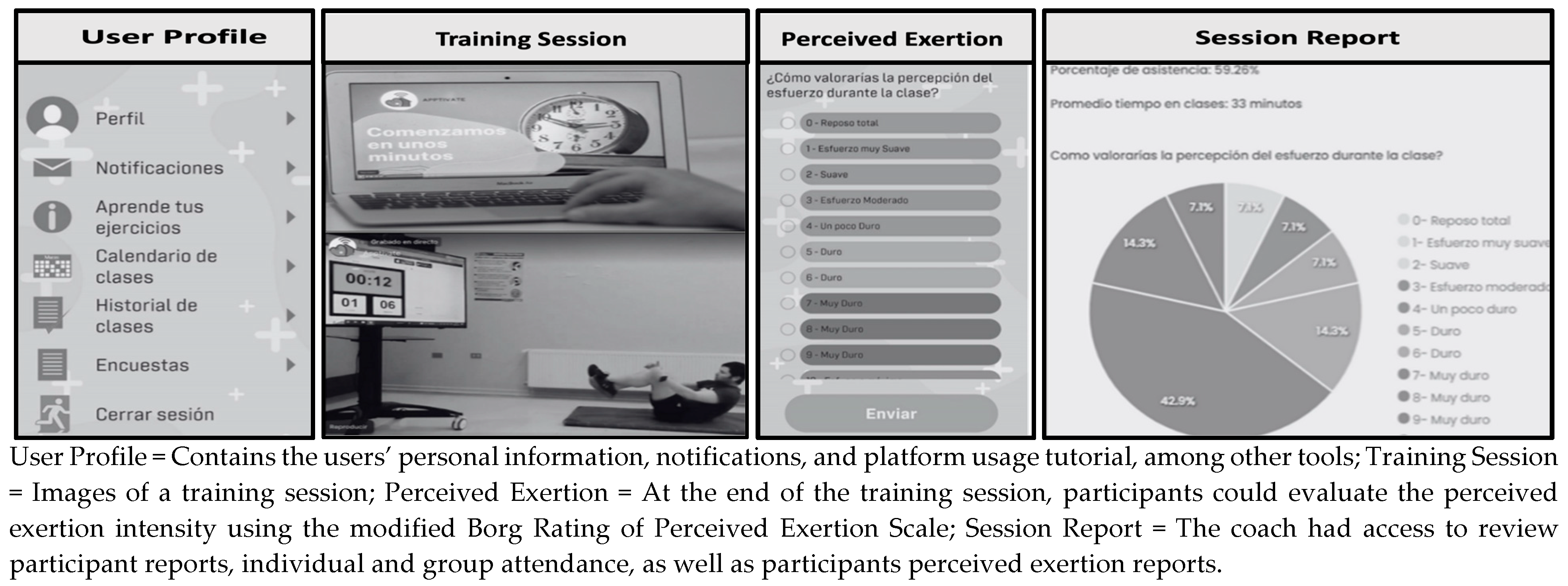 Nutrients 16 02539 g001