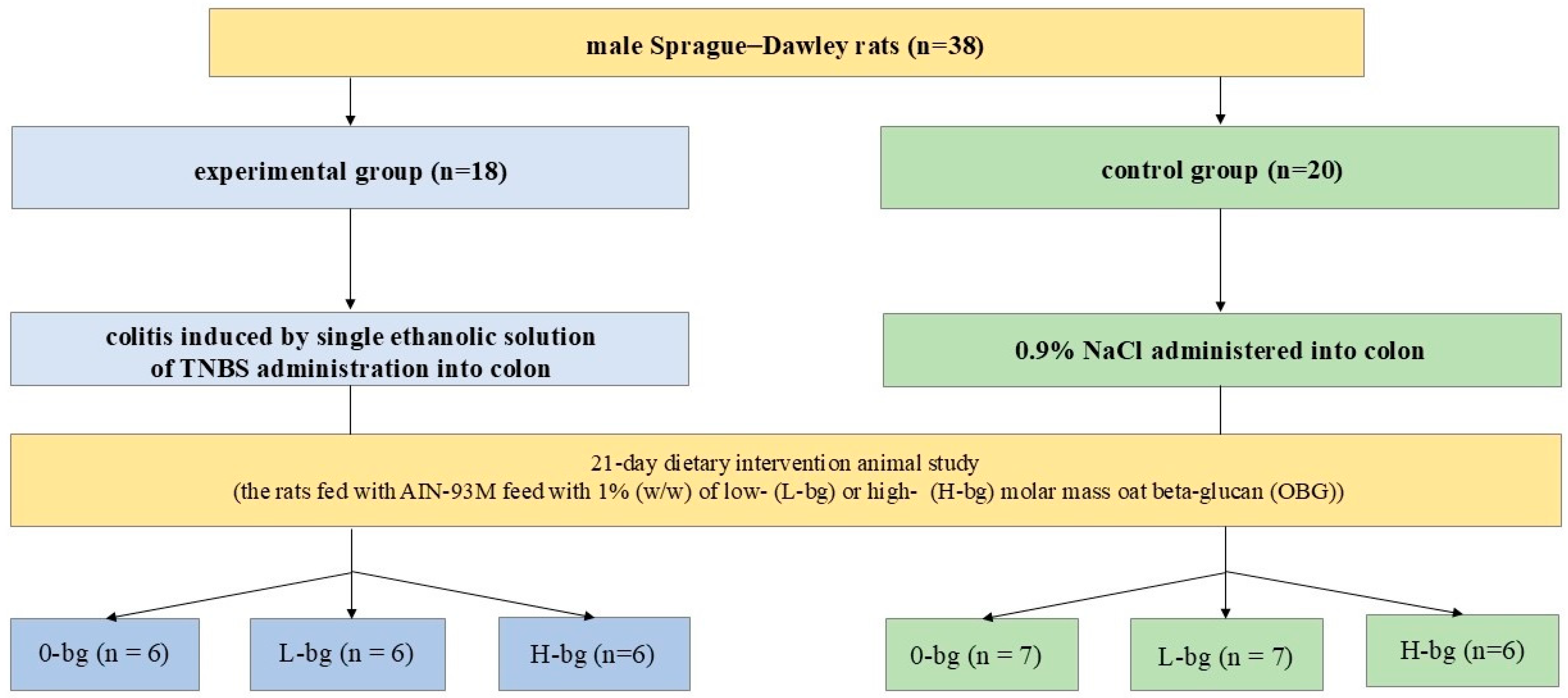 Nutrients 16 02546 g001