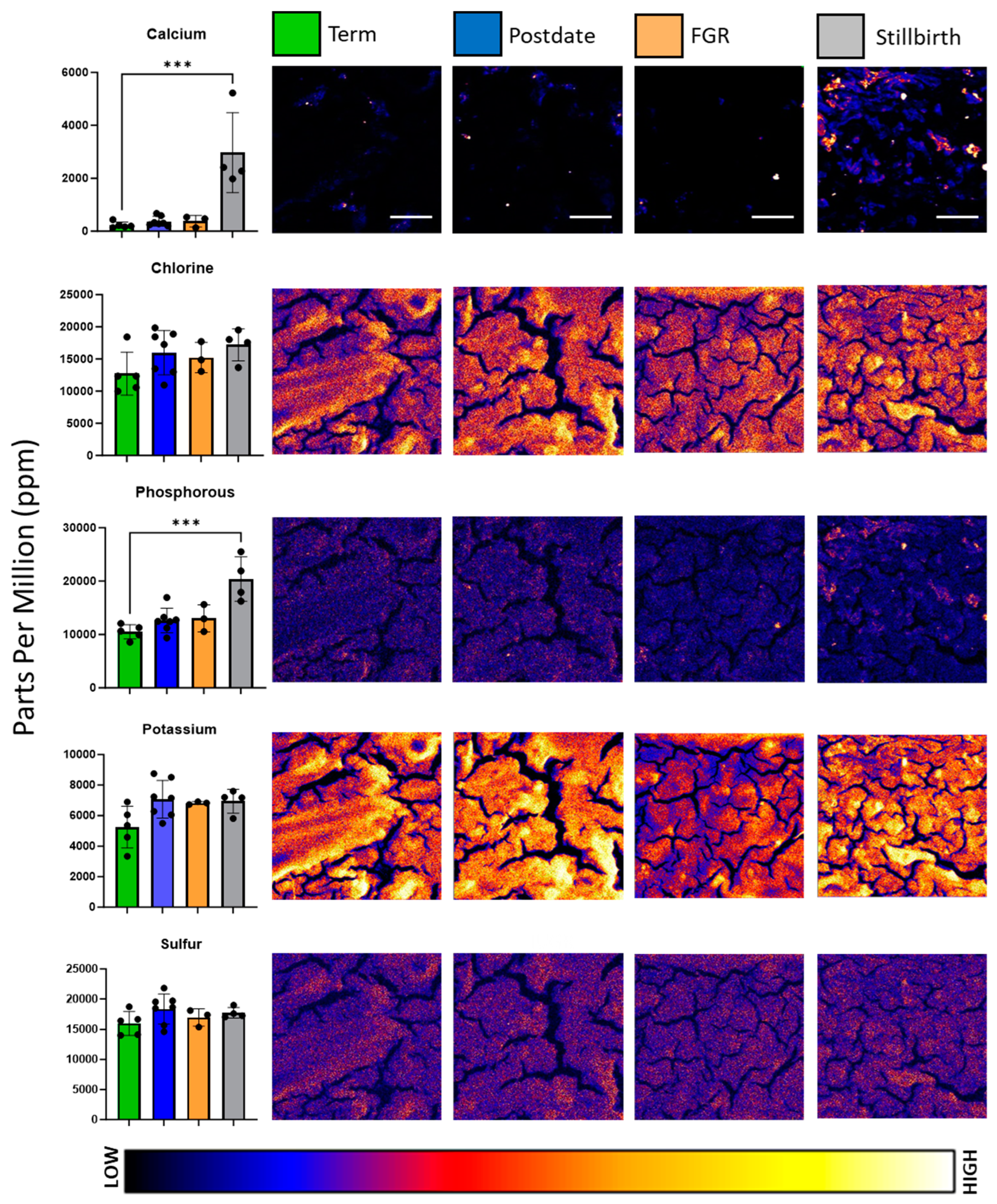 Nutrients 16 02549 g001