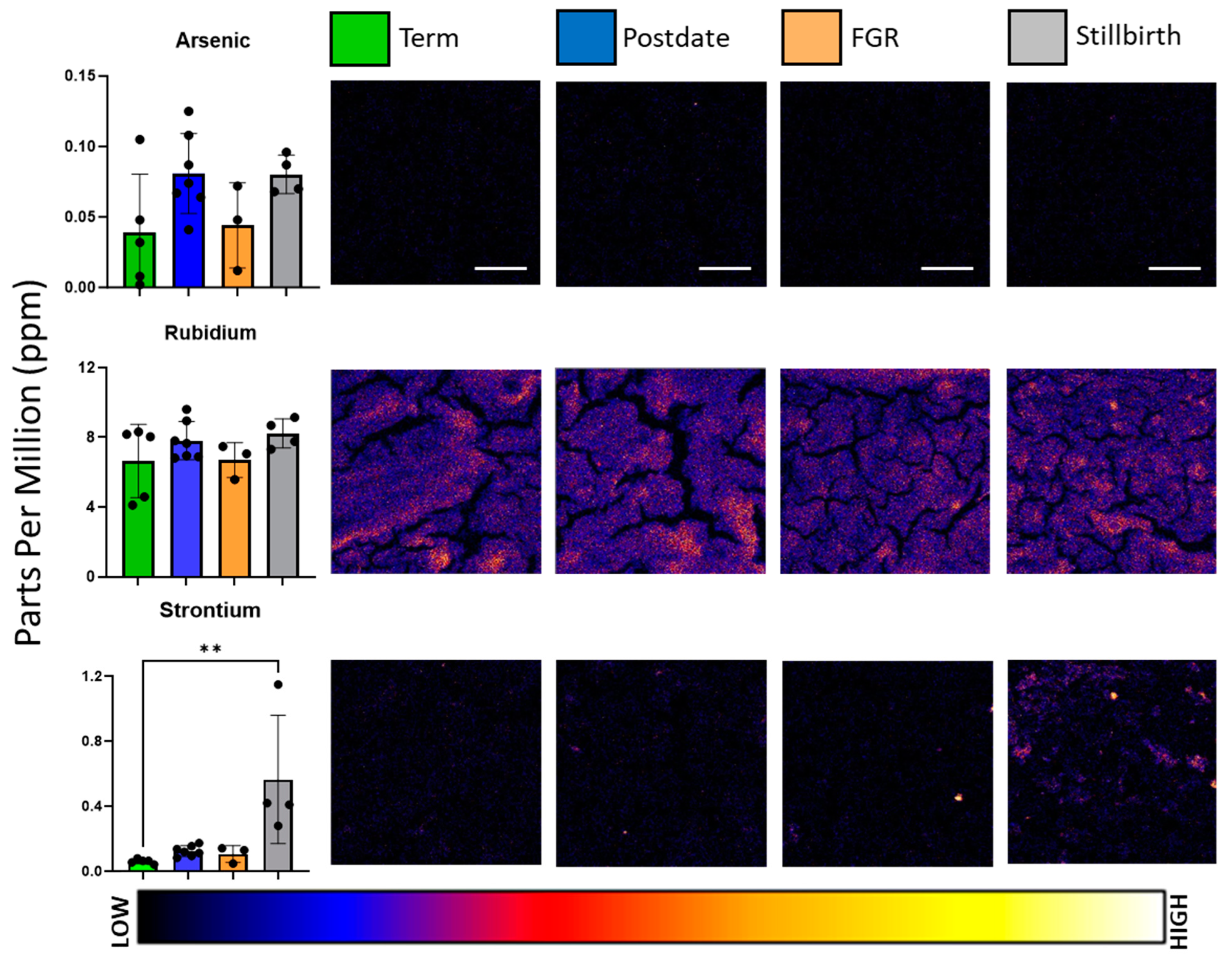 Nutrients 16 02549 g003