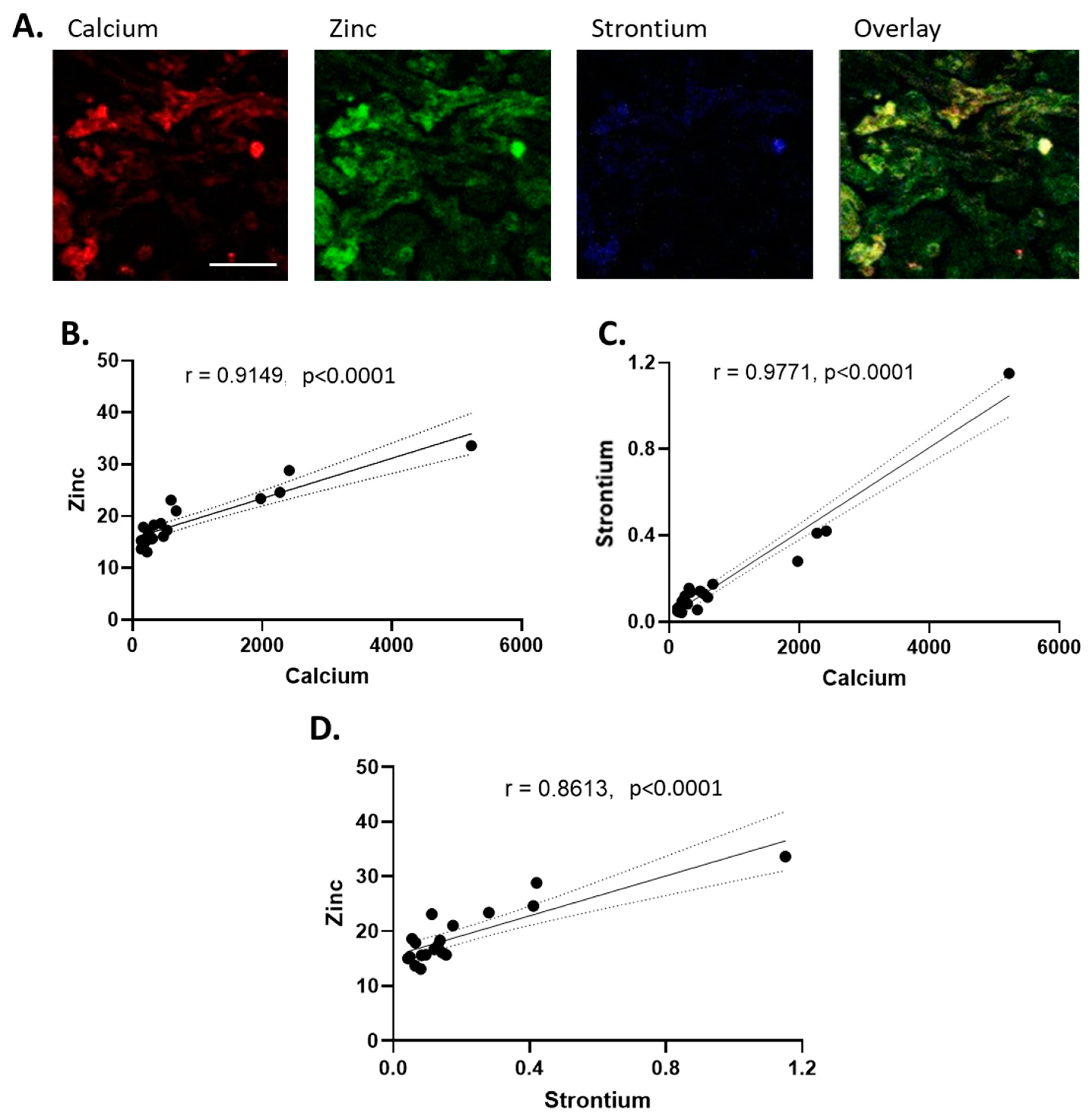 Nutrients 16 02549 g004